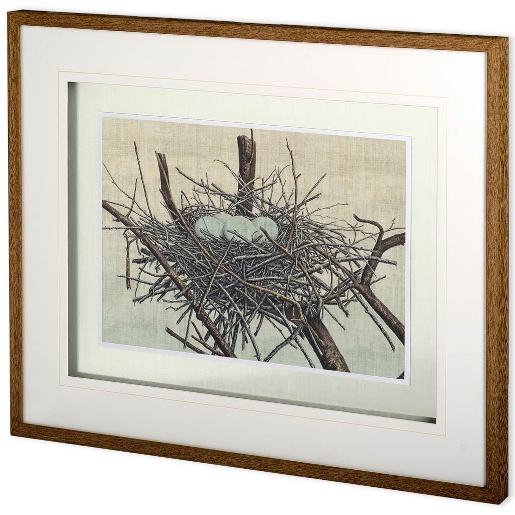 Custom Nesting IV (MC) by John Butler