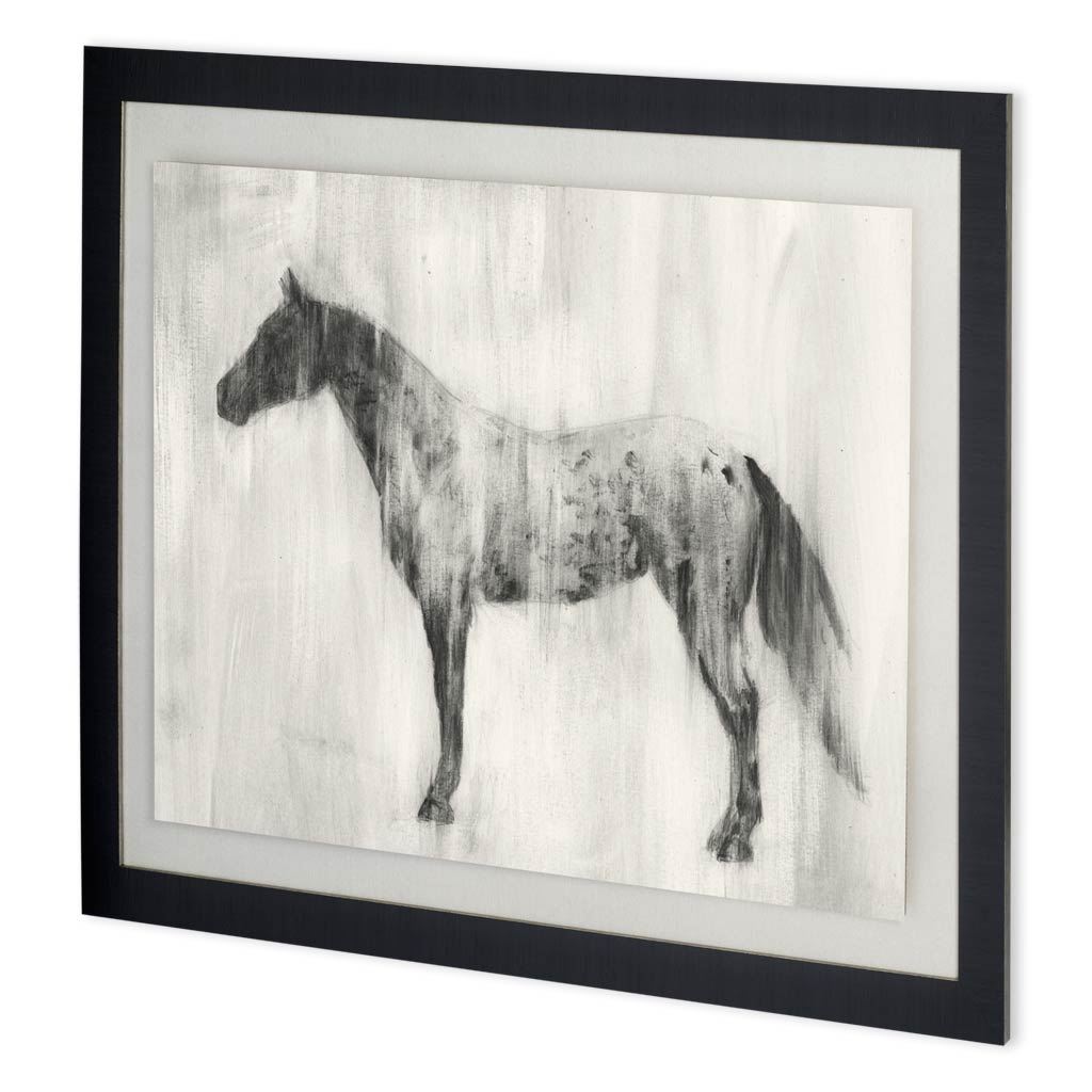 Custom Appaloosa Study II (MC) by Ethan Harper