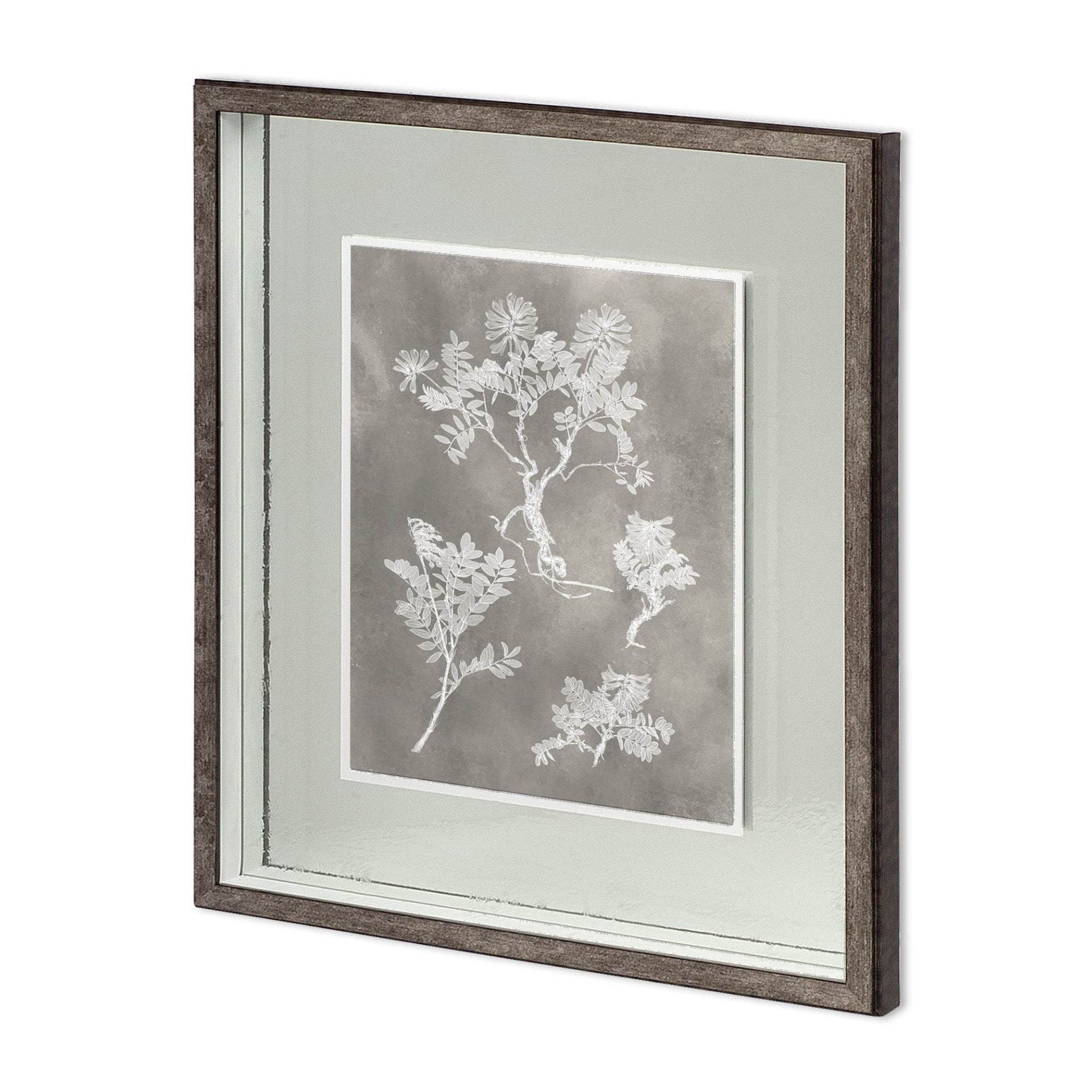 Custom Herbarium Study II by Vision Studio