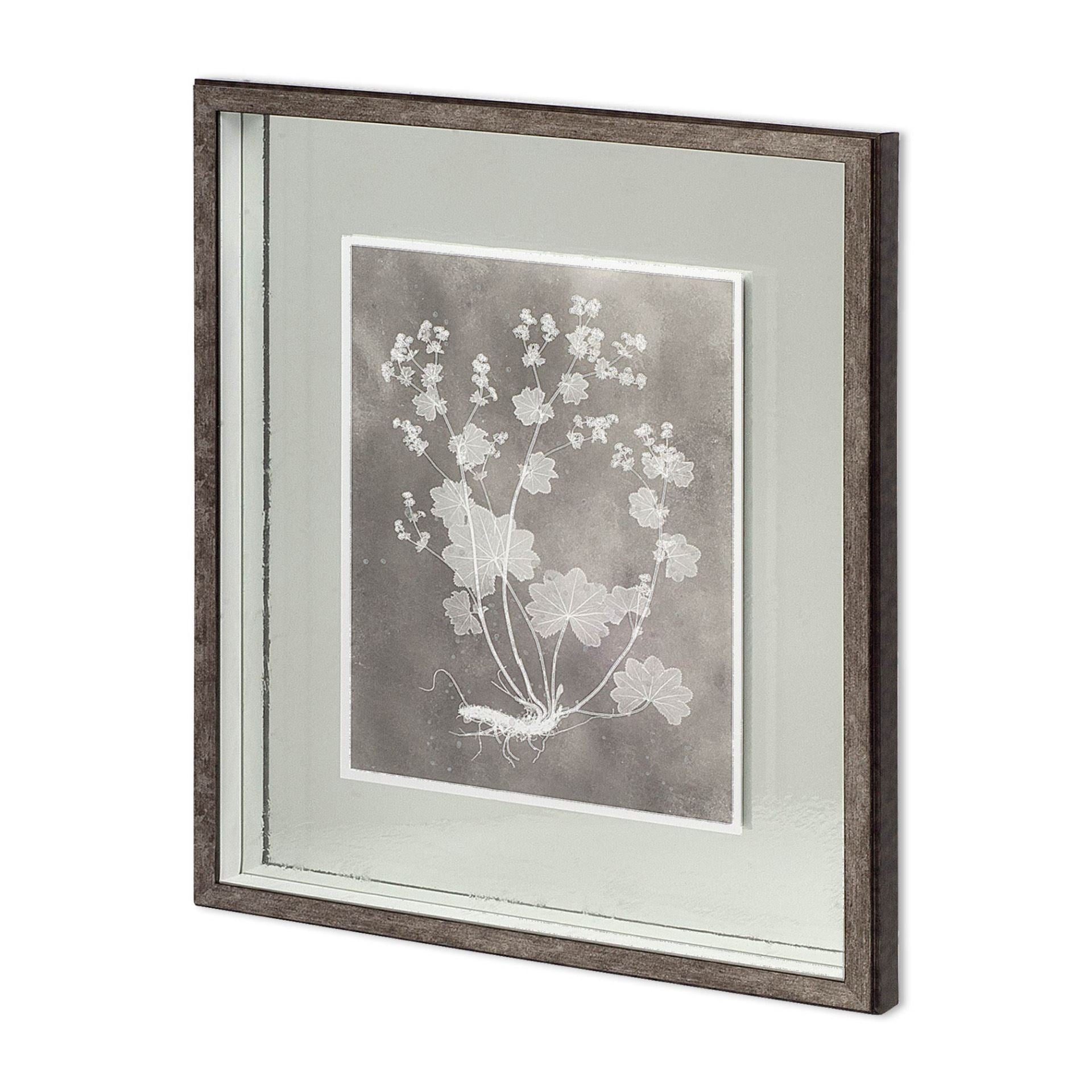 Custom Herbarium Study I by Vision Studio