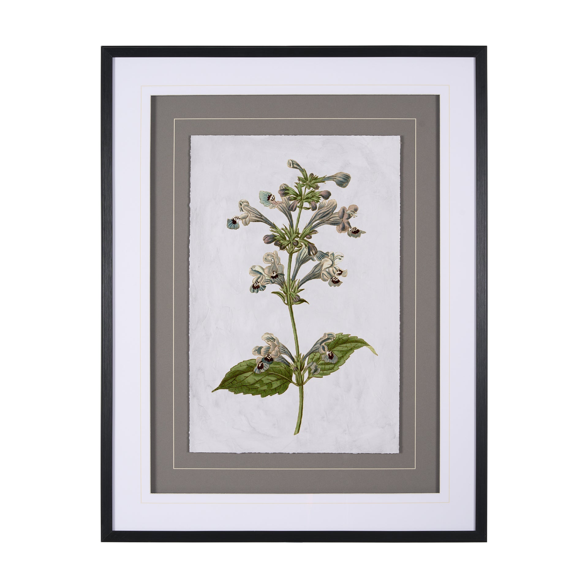 Soft Blue Botanoicals III