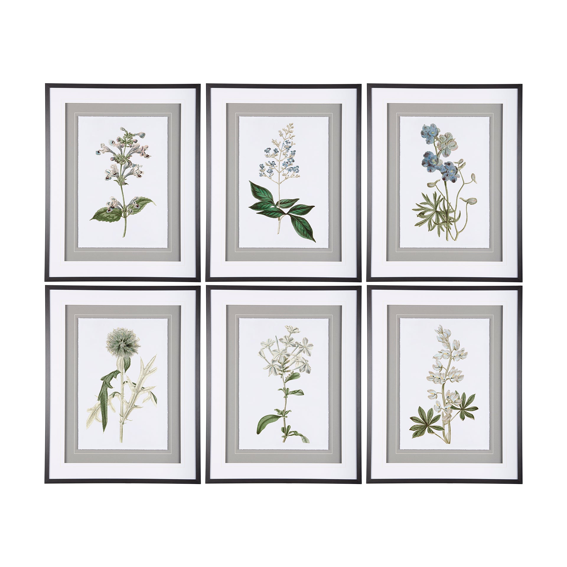 Soft Blue Botanoicals VII