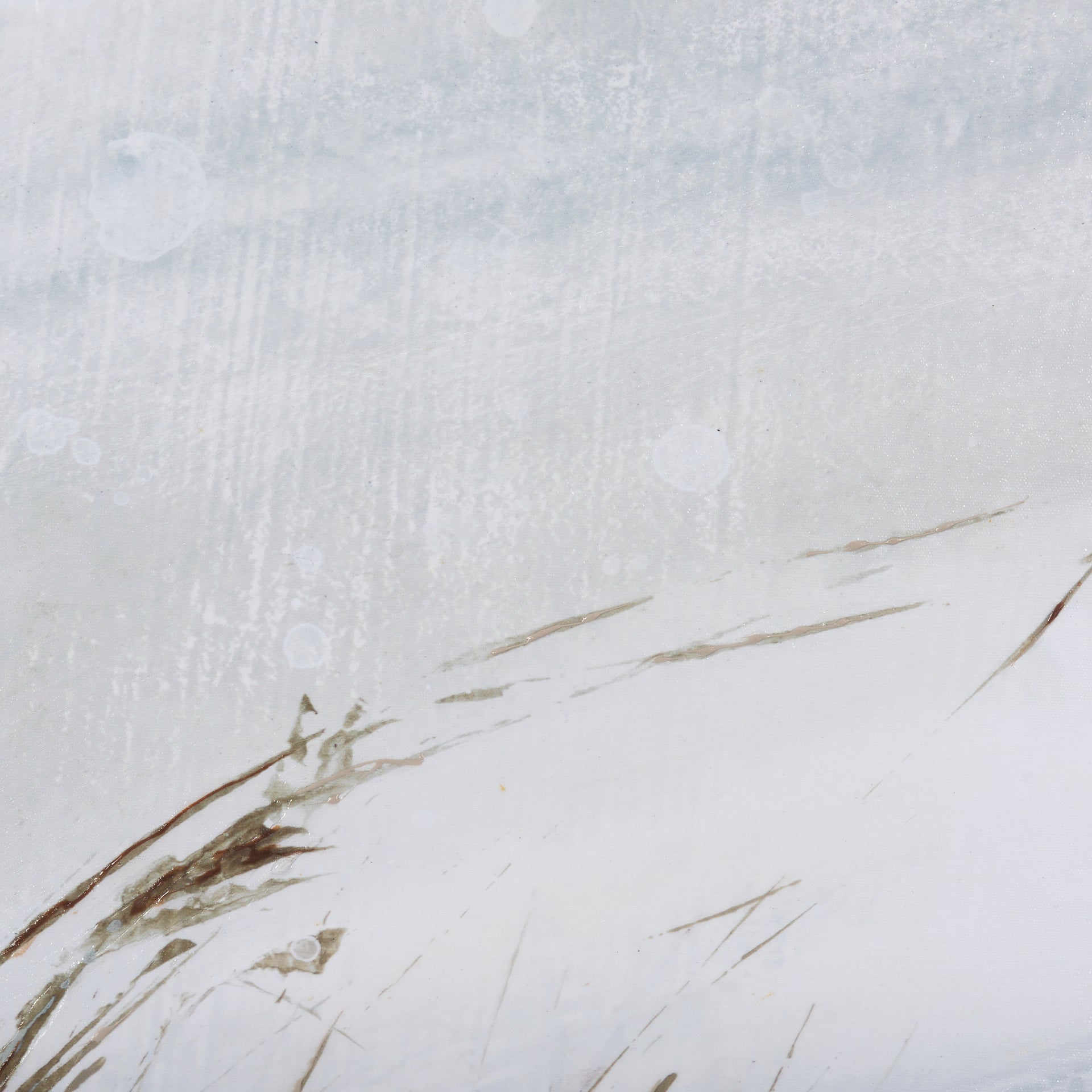Chilly Breeze I