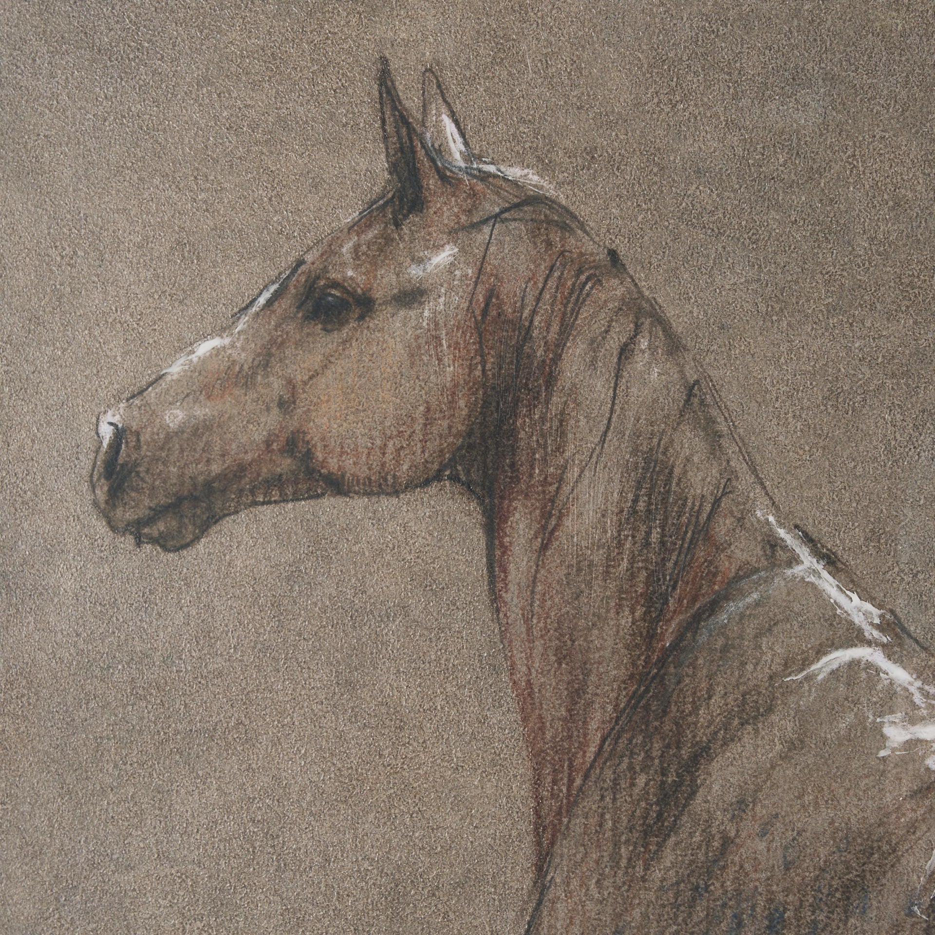 Buckskin Blanket