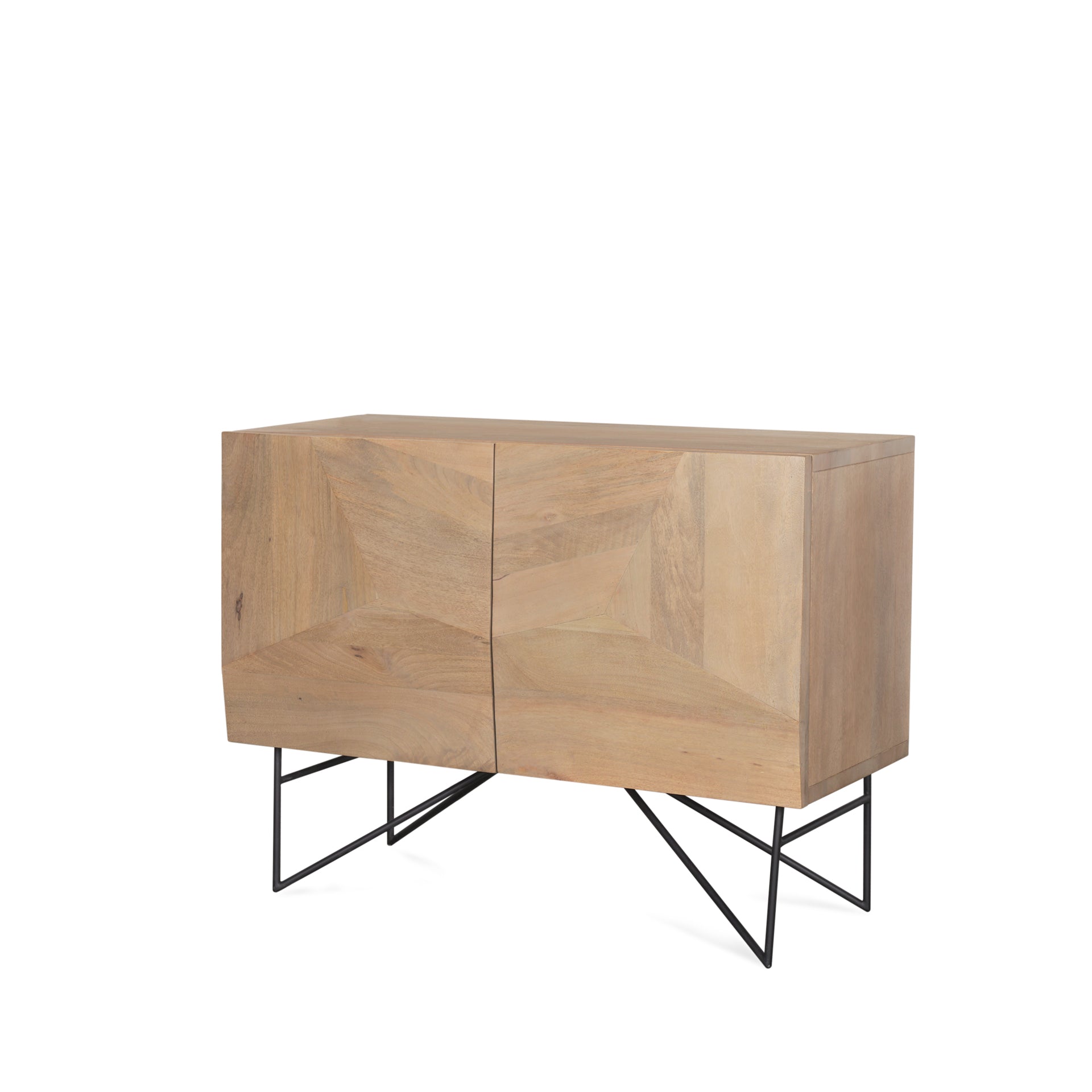 Darwin 2 Door Accent Cabinet