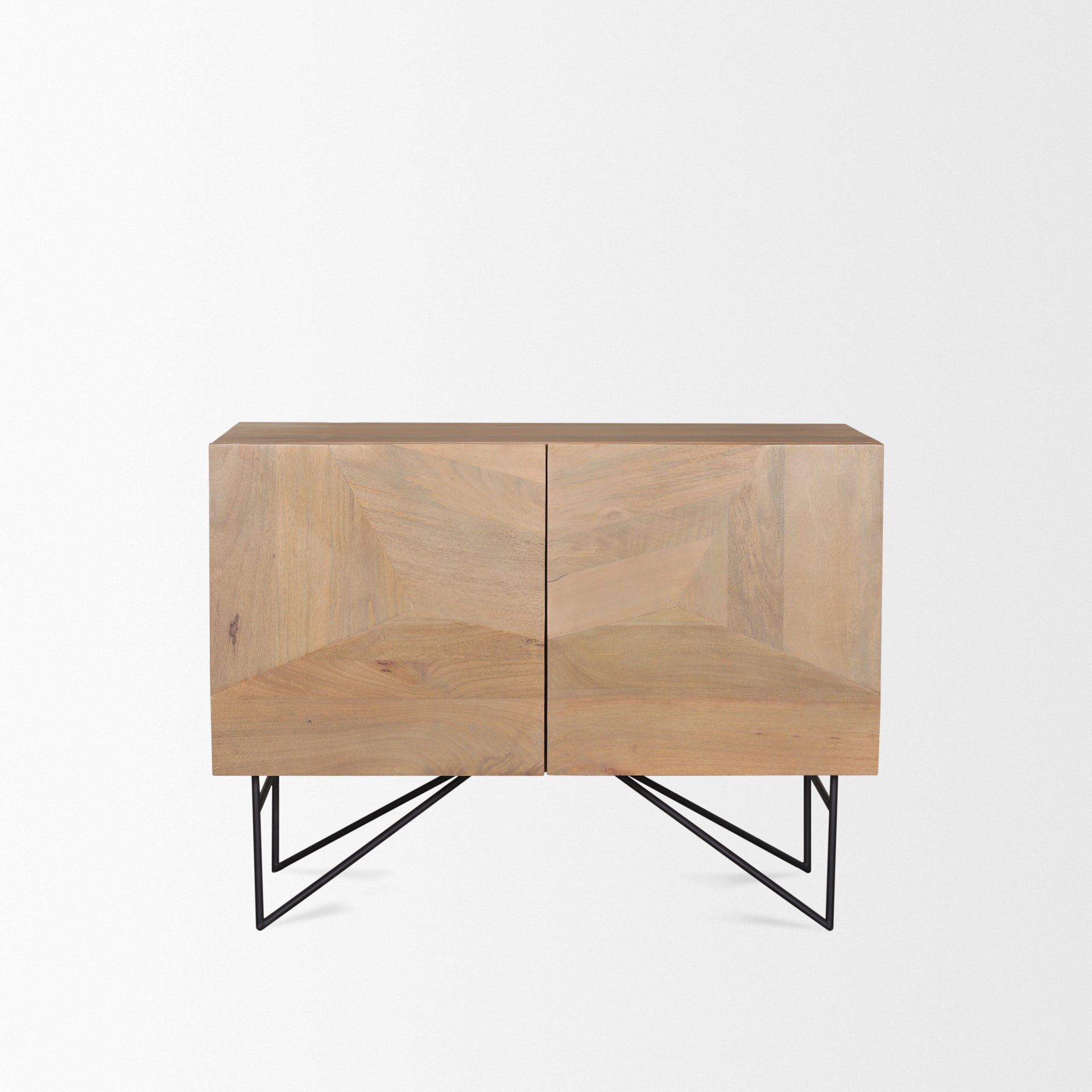 Darwin 2 Door Accent Cabinet