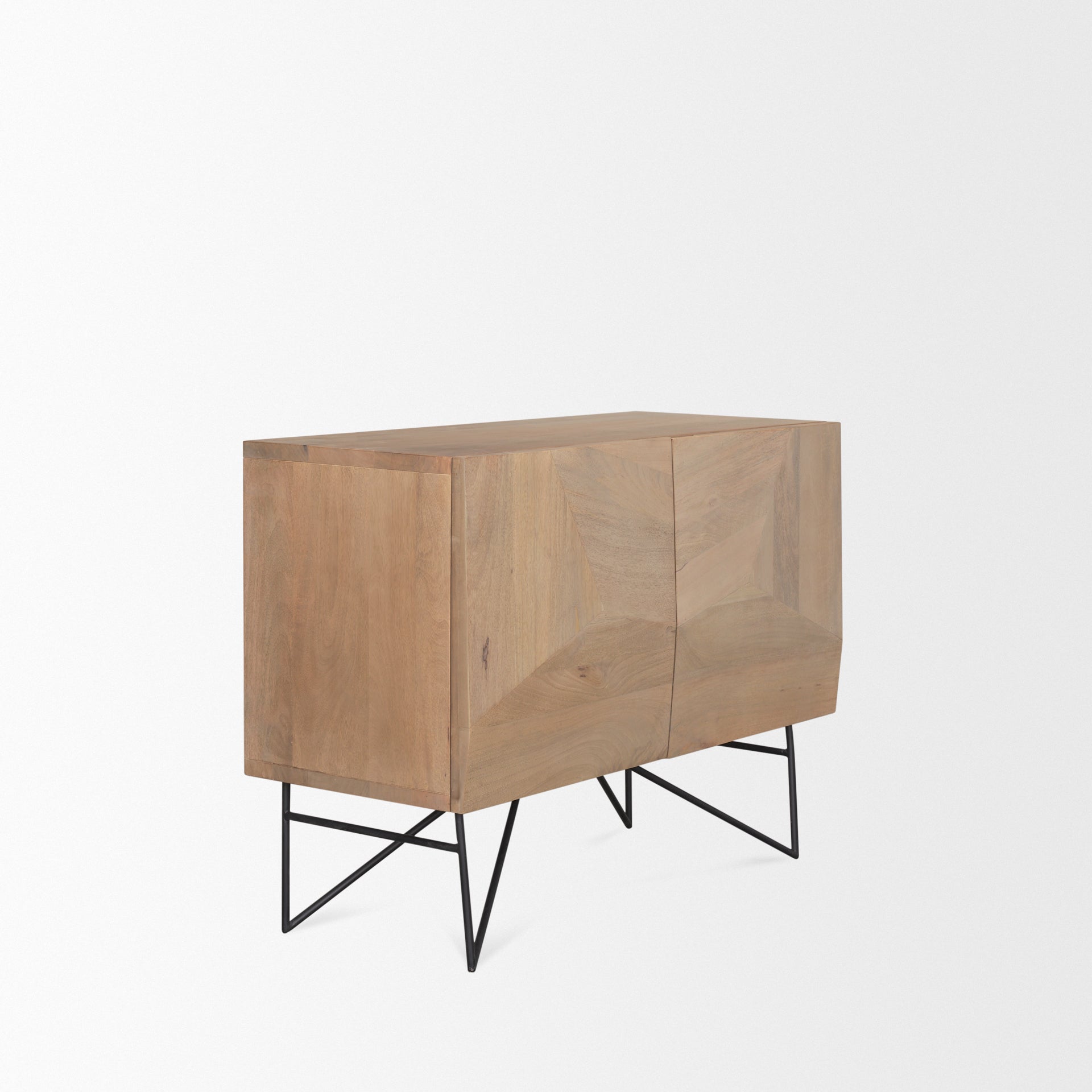 Darwin 2 Door Accent Cabinet