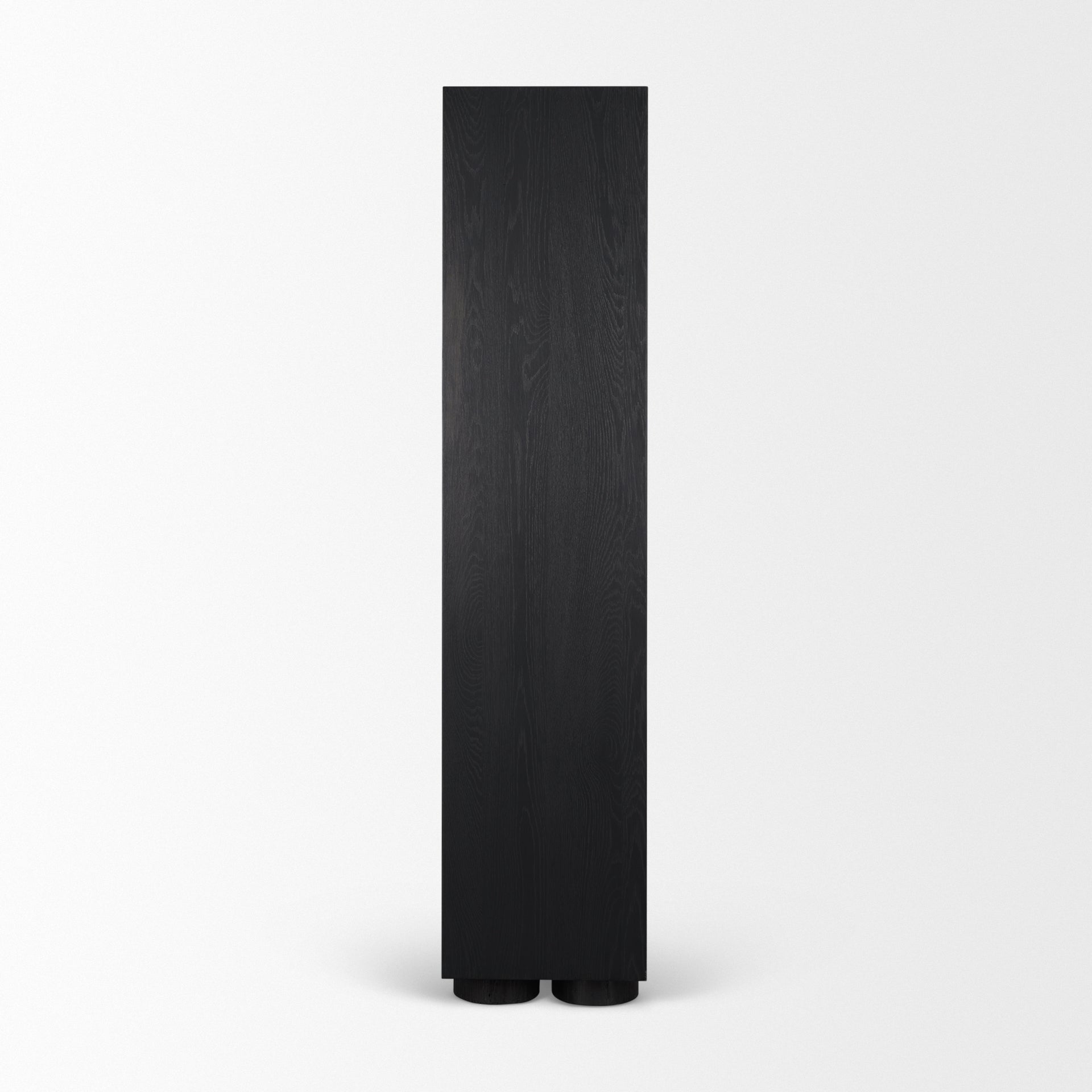 Tabor Natural Wood w/ Black Oak Frame Bookcase