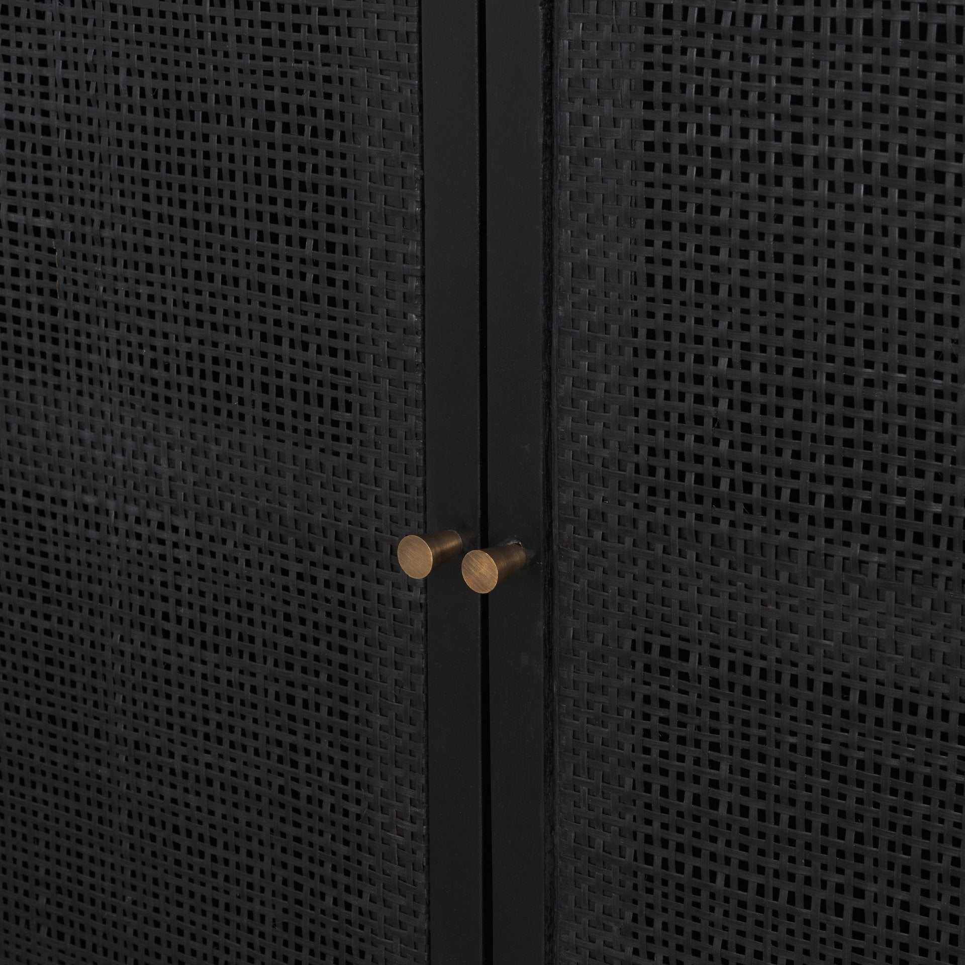 Grier 2 Door Accent Cabinet