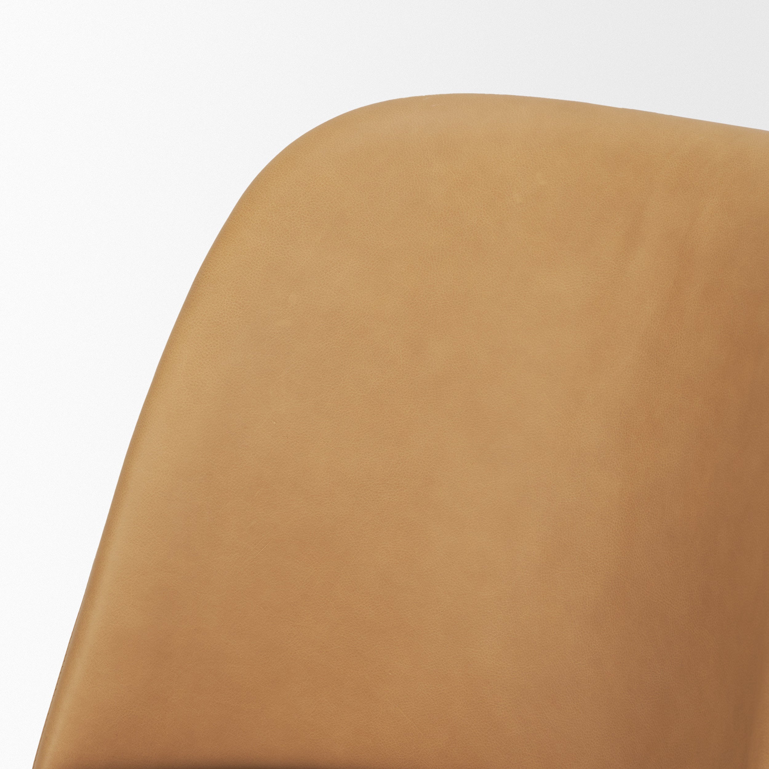 Abbie Dining Chair, S/2