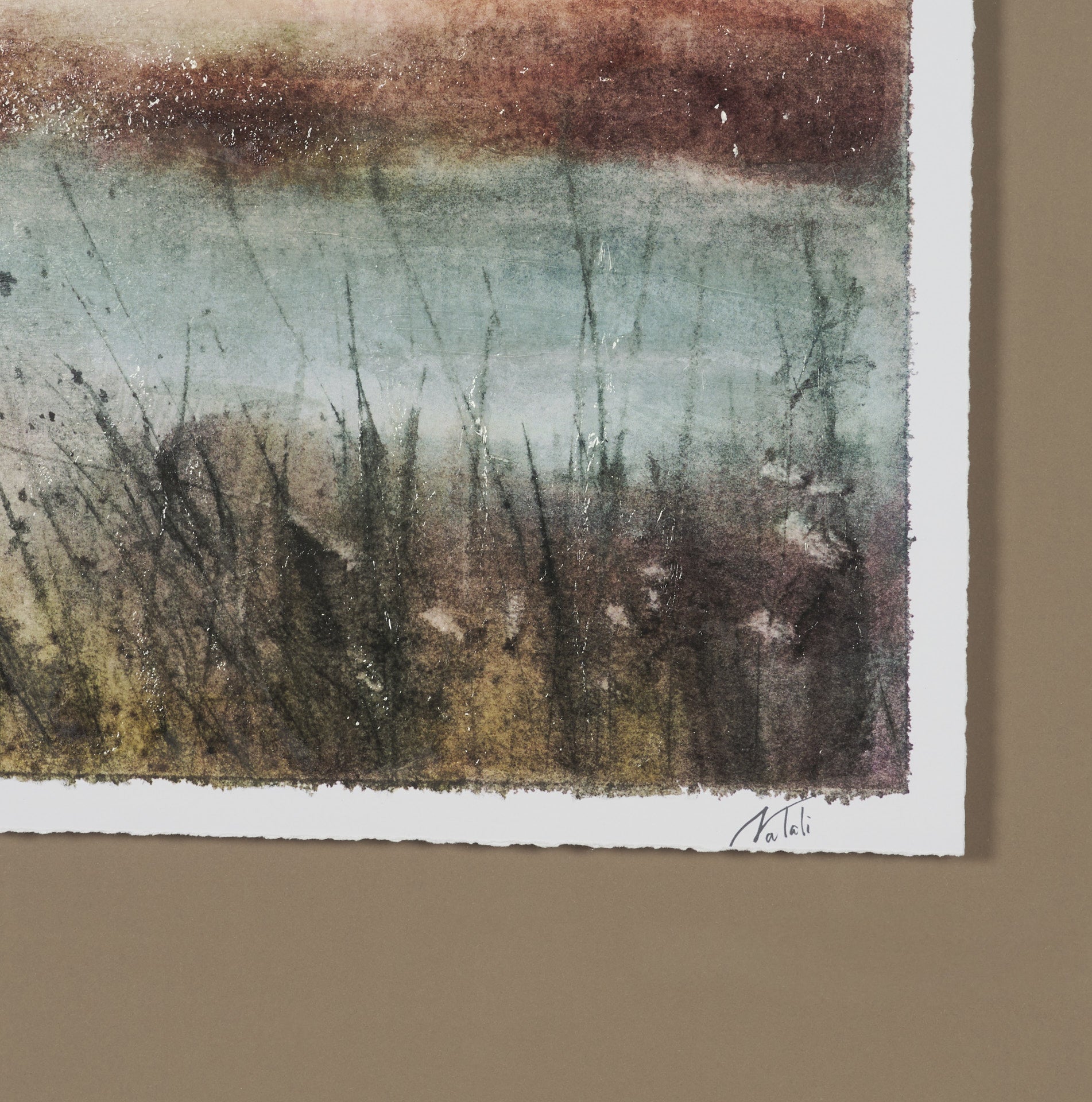Shoreline Beauty III