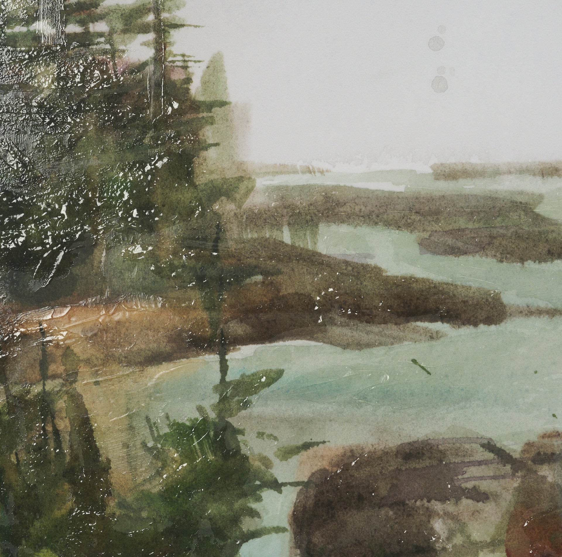 Shoreline Beauty IV