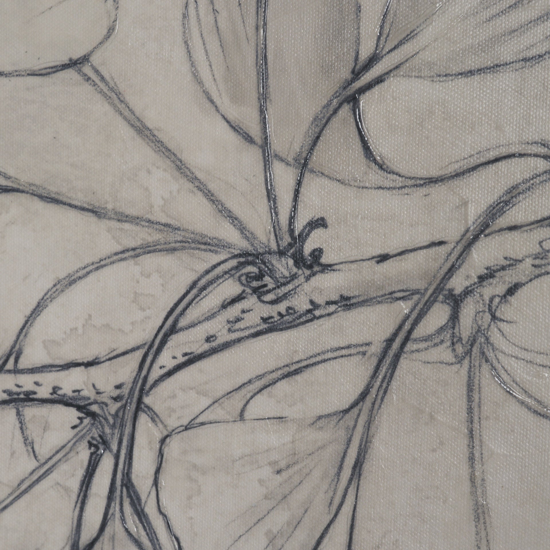 Ginkgo Shadows I