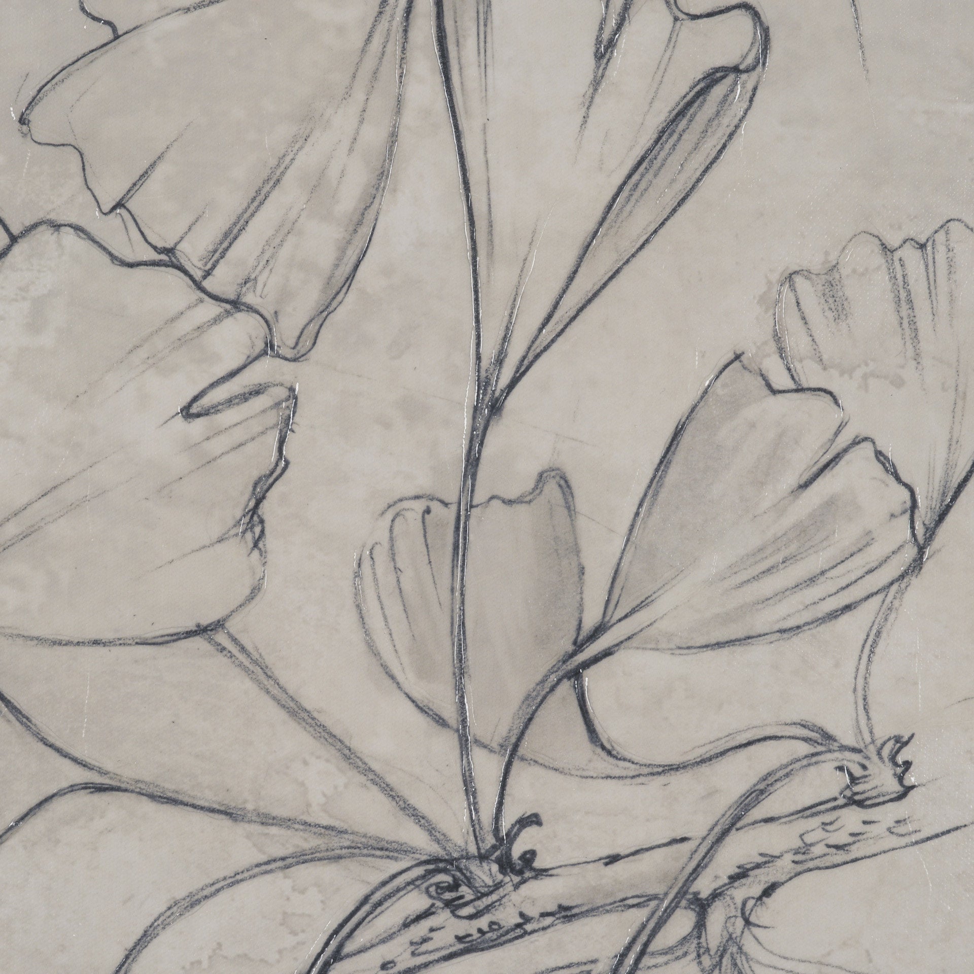 Ginkgo Shadows II