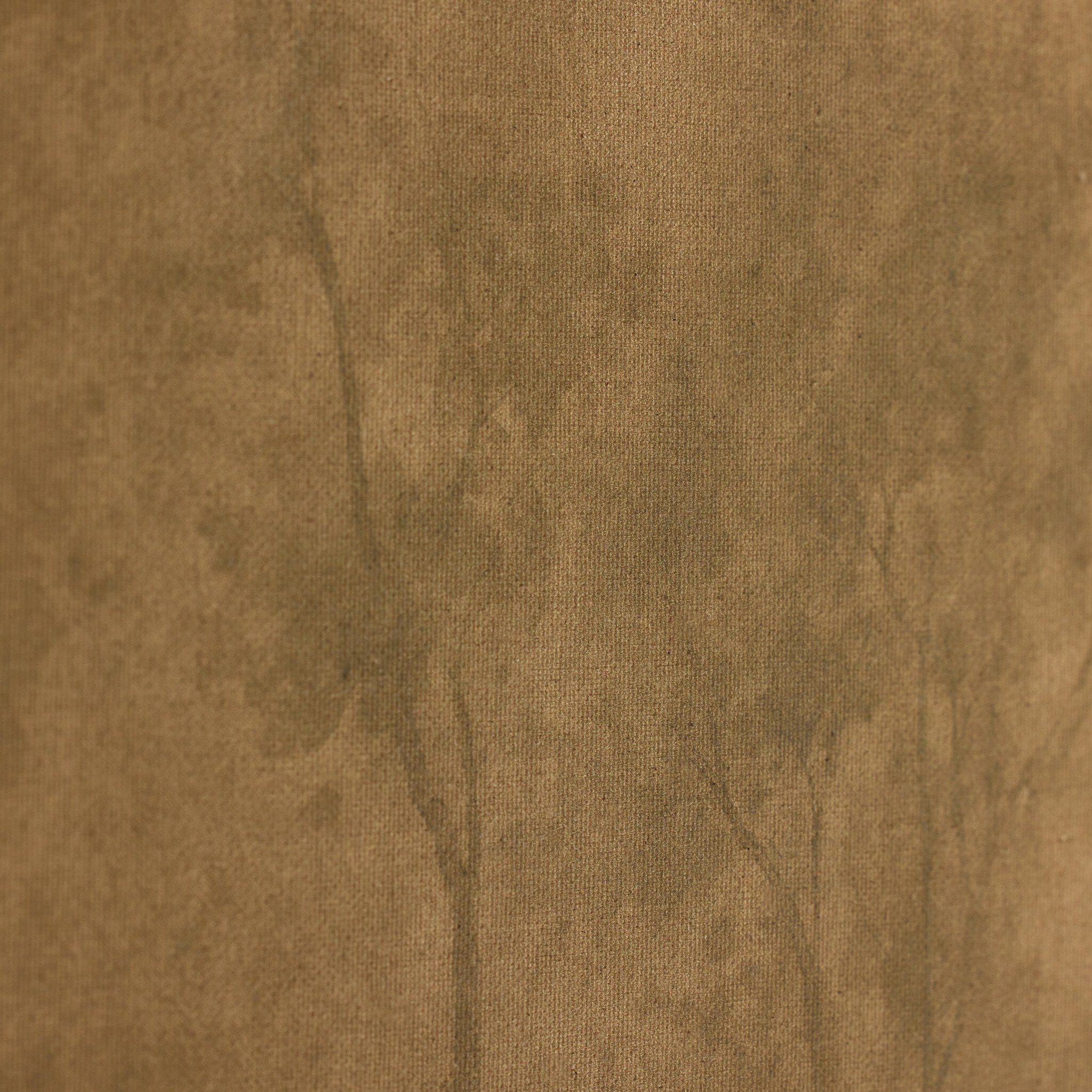 Illuminated by Aileen Fitzgerald - Rustic Walnut Floater