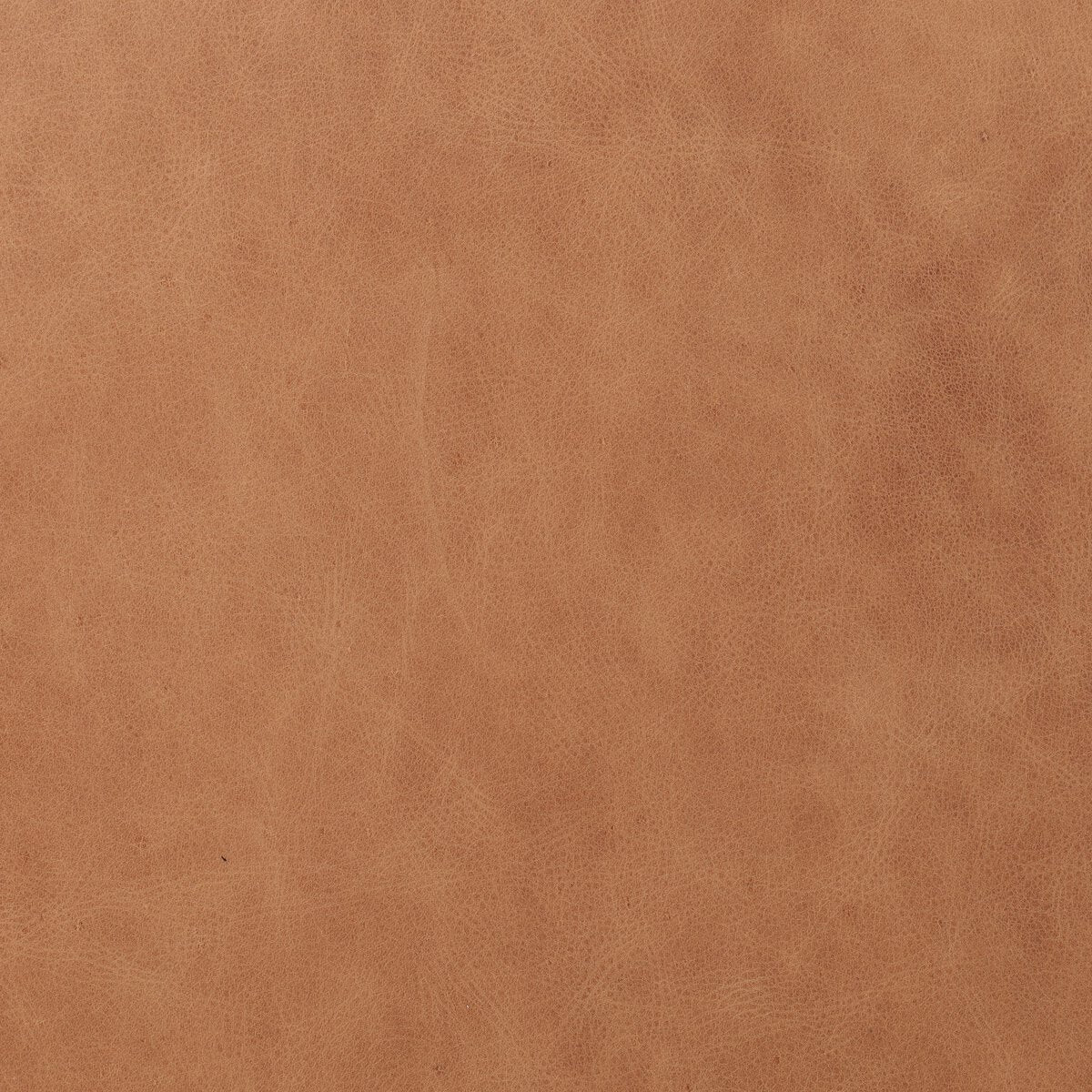 Colter Counter Stool