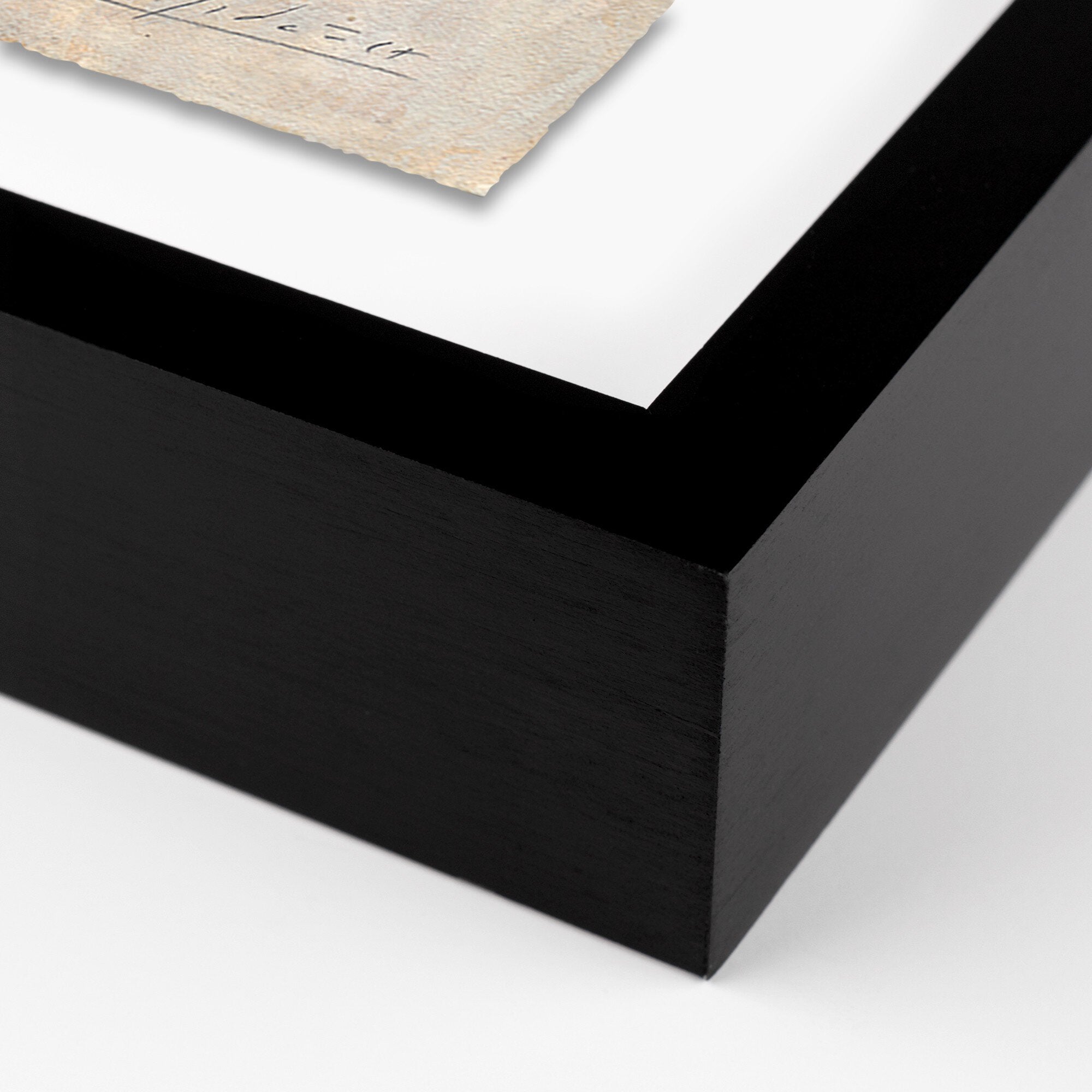 No. 12 by Valeria Sidanez