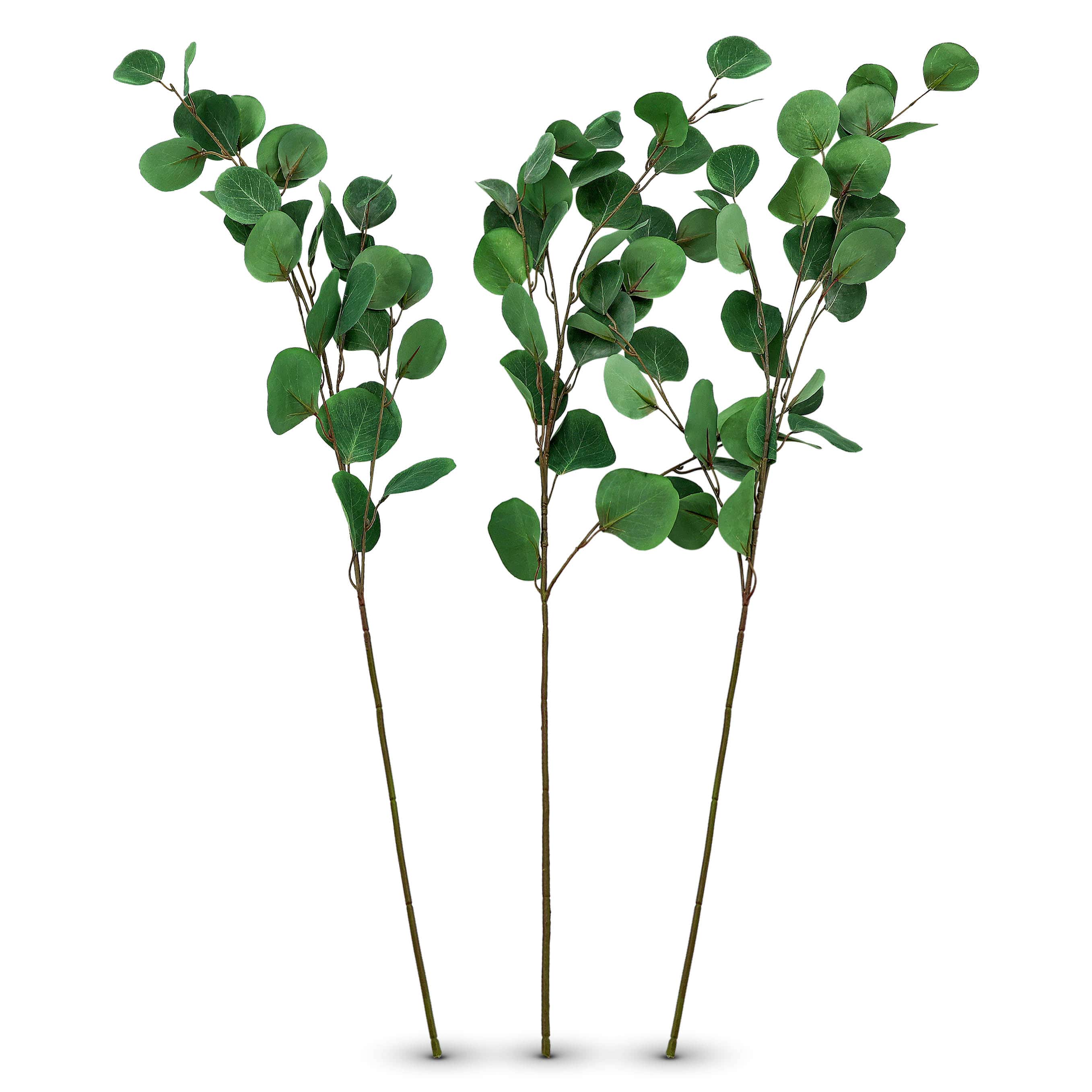 34" Faux Silver Dollar Eucalyptus Branches (Set of 3)