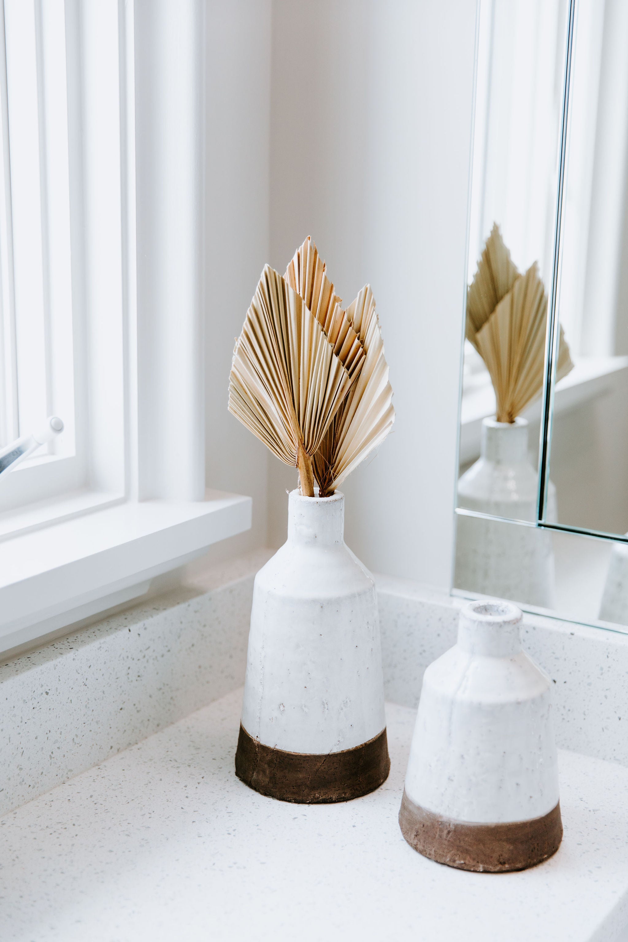Dried Palm Leaves