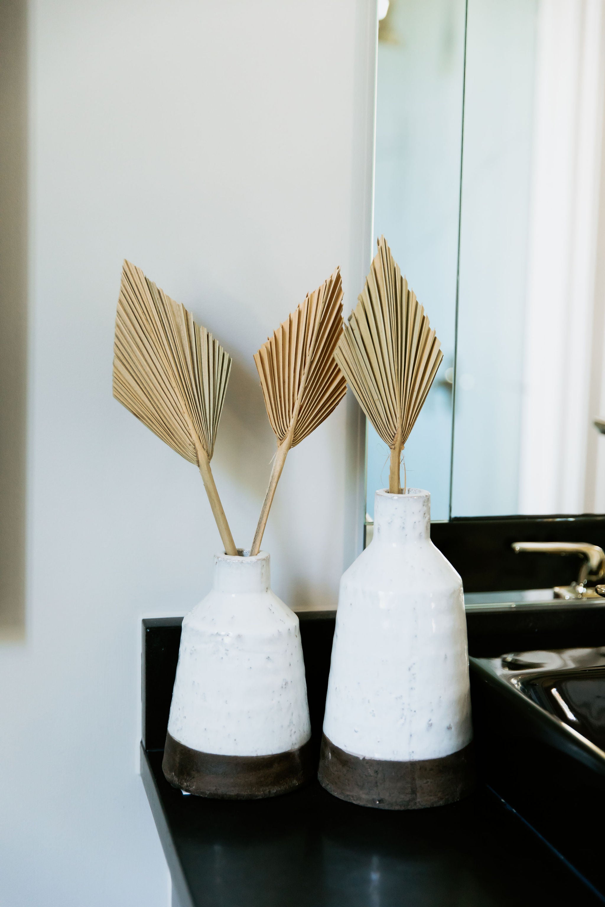 Dried Palm Leaves