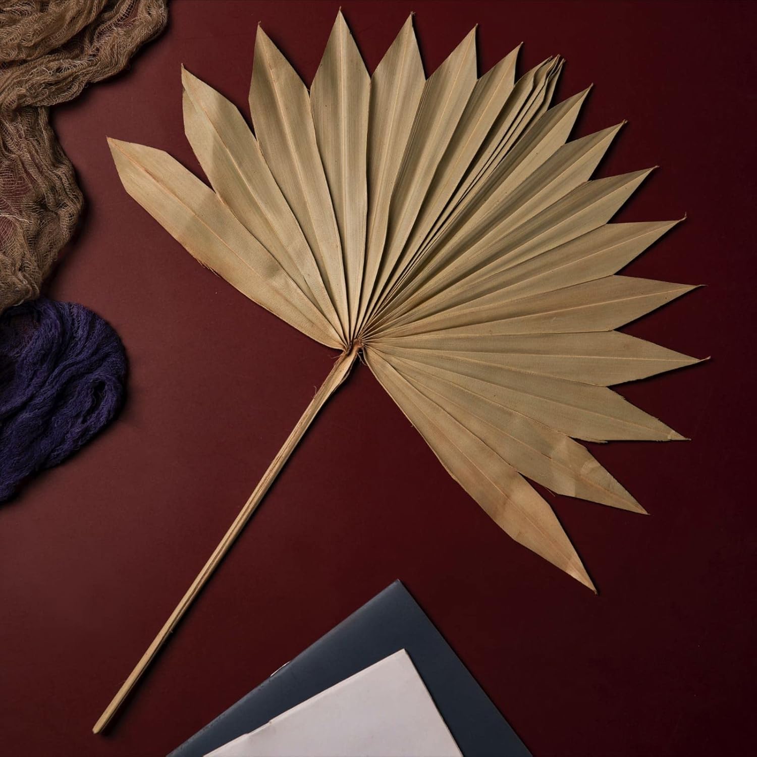 Dried Palm Leaves
