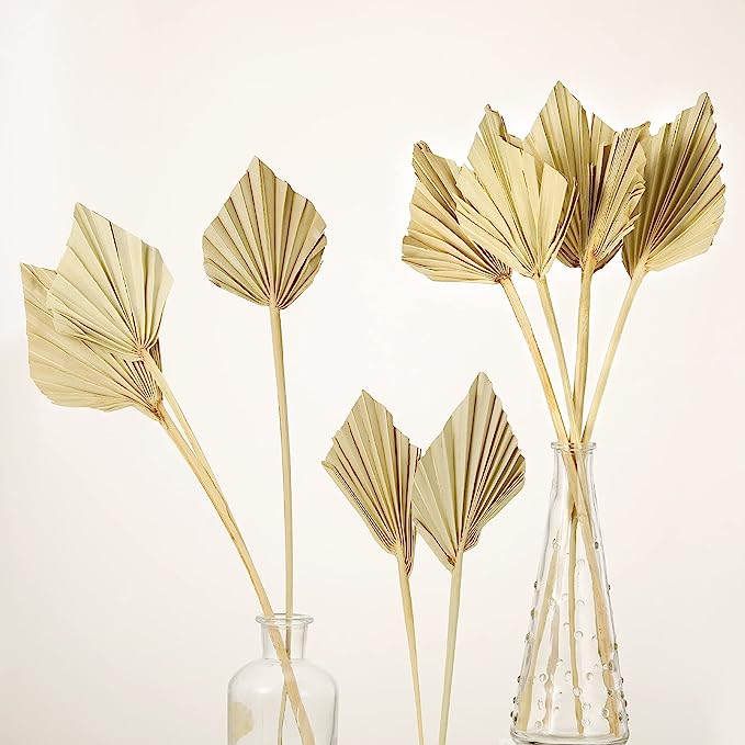Dried Palm Leaves