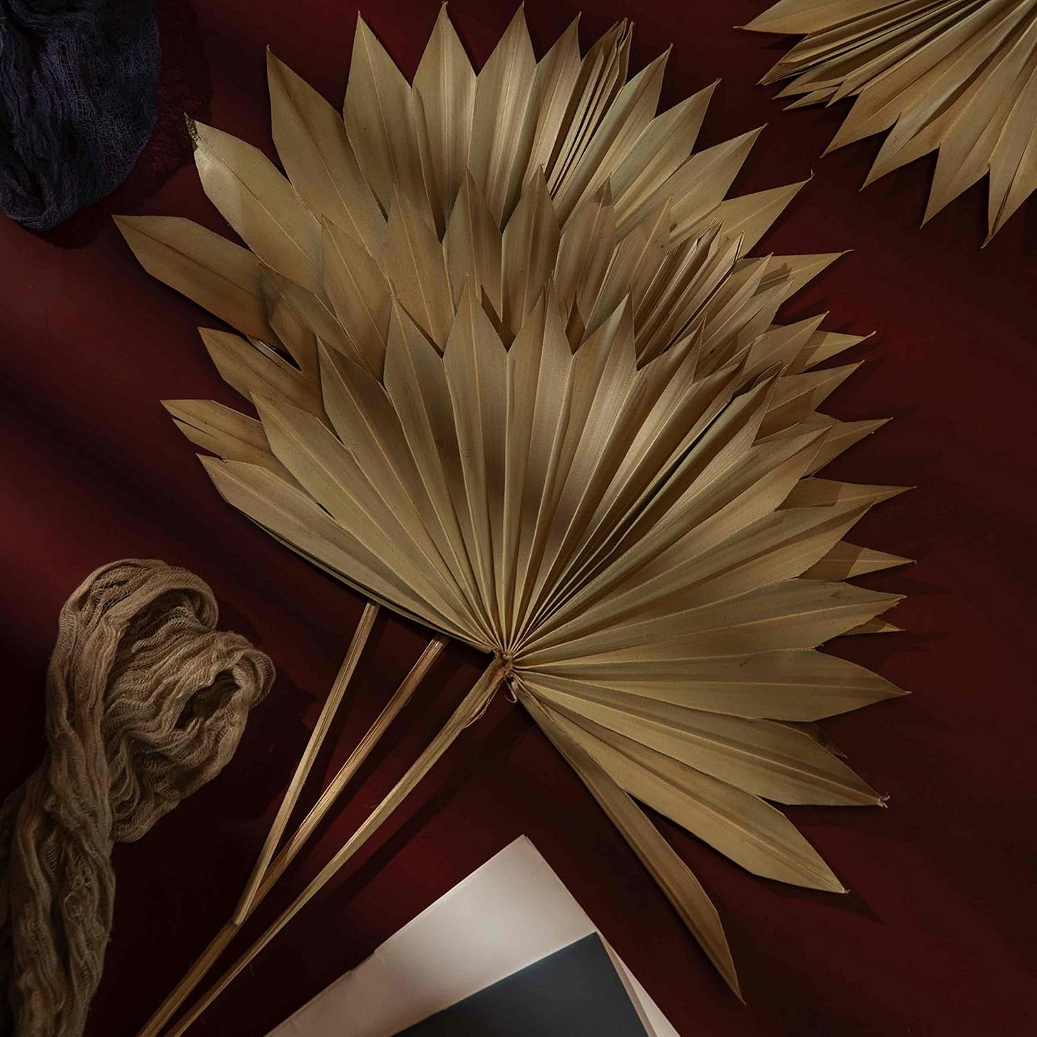 Dried Palm Leaves