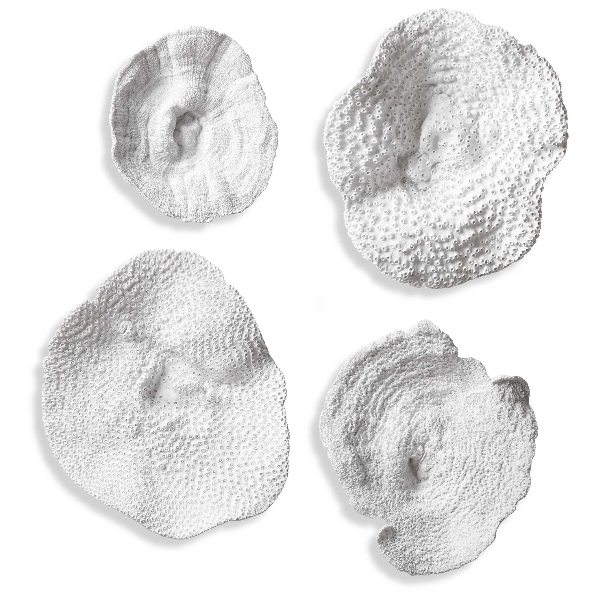 Sea Coral Wall Art Set/4