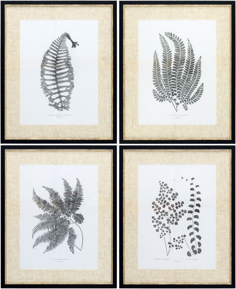 Ferne Framed Art