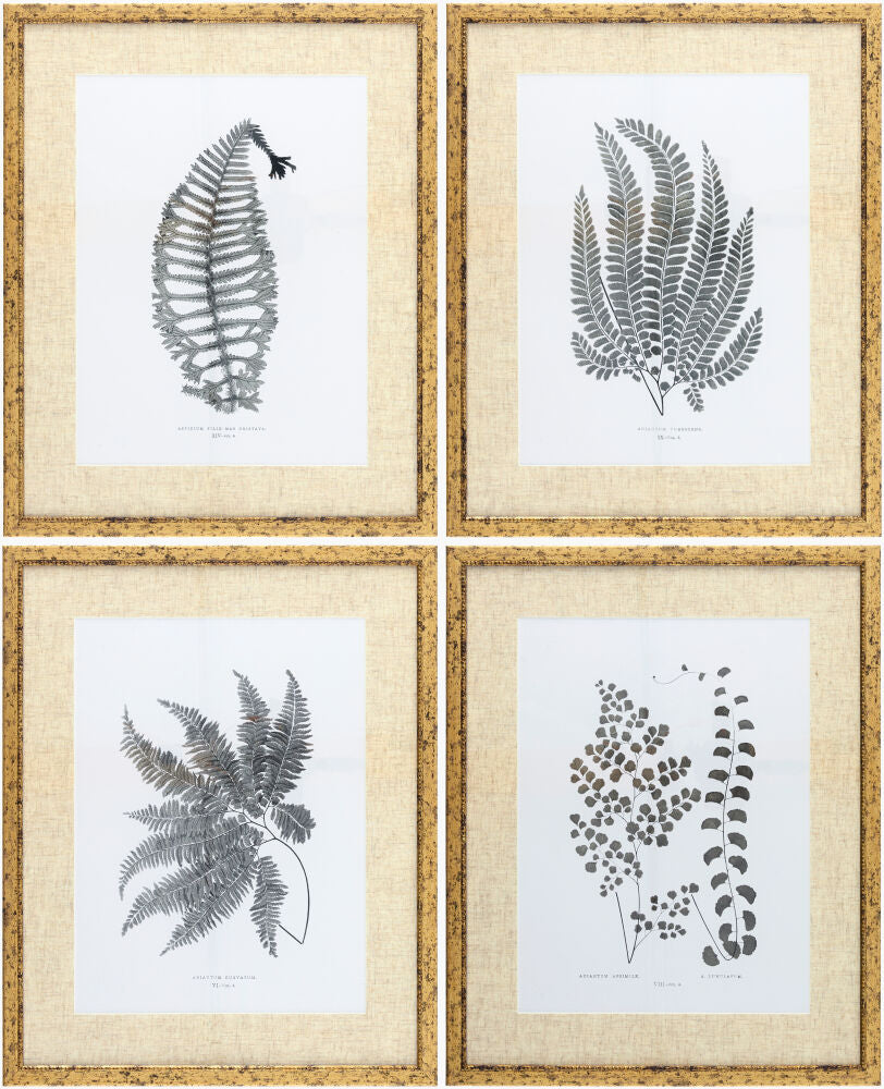 Ferne Framed Art