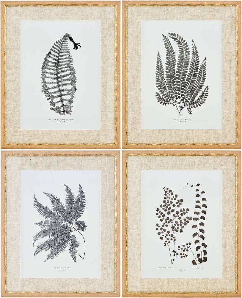 Ferne Framed Art