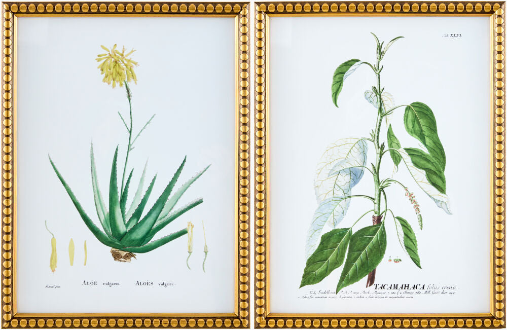 Midsummer Framed Art
