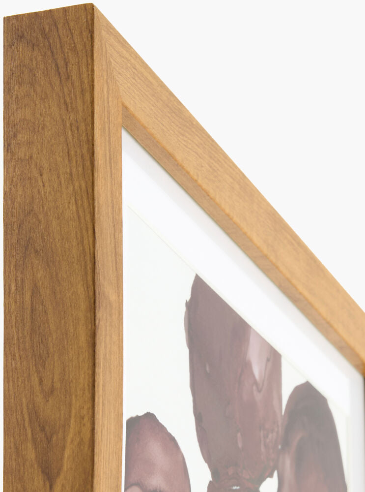 Molecule Framed Art