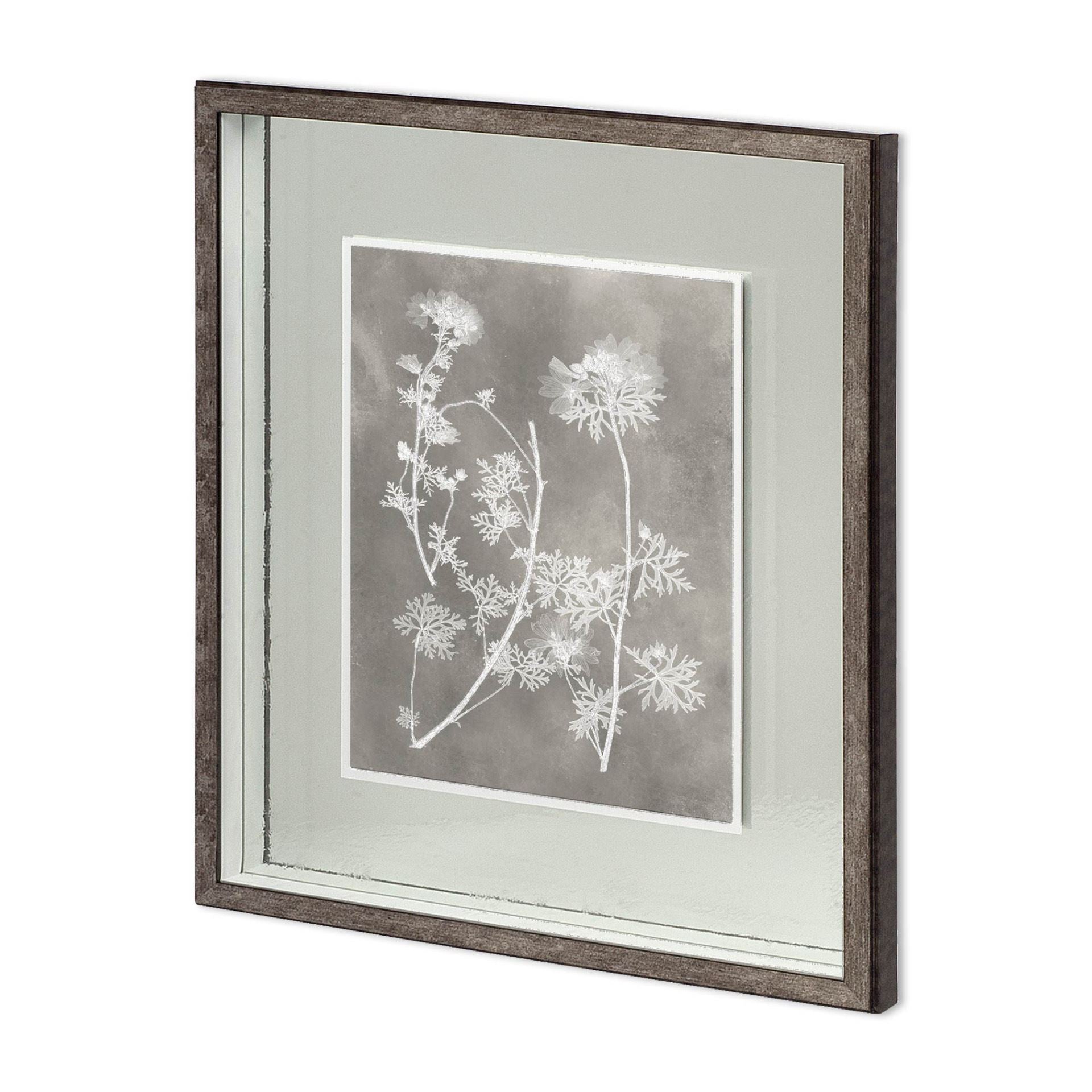 Custom Herbarium Study IV by Vision Studio