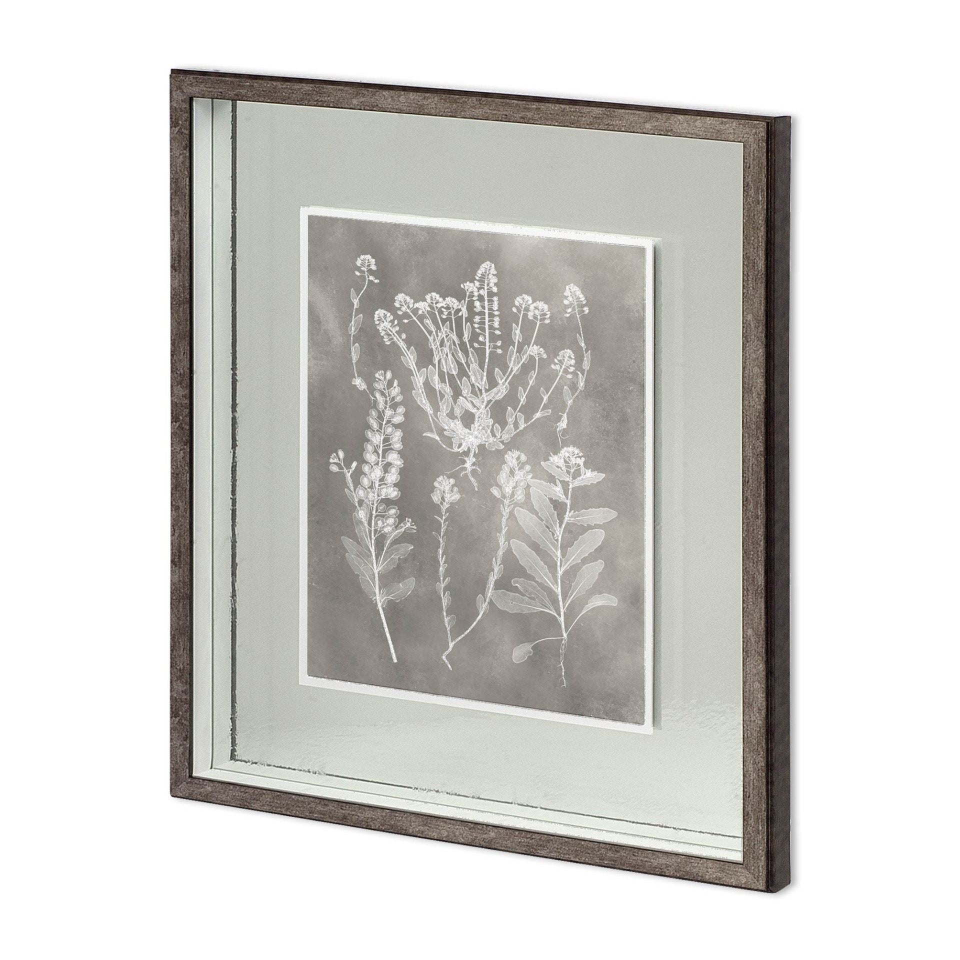 Custom Herbarium Study III by Vision Studio