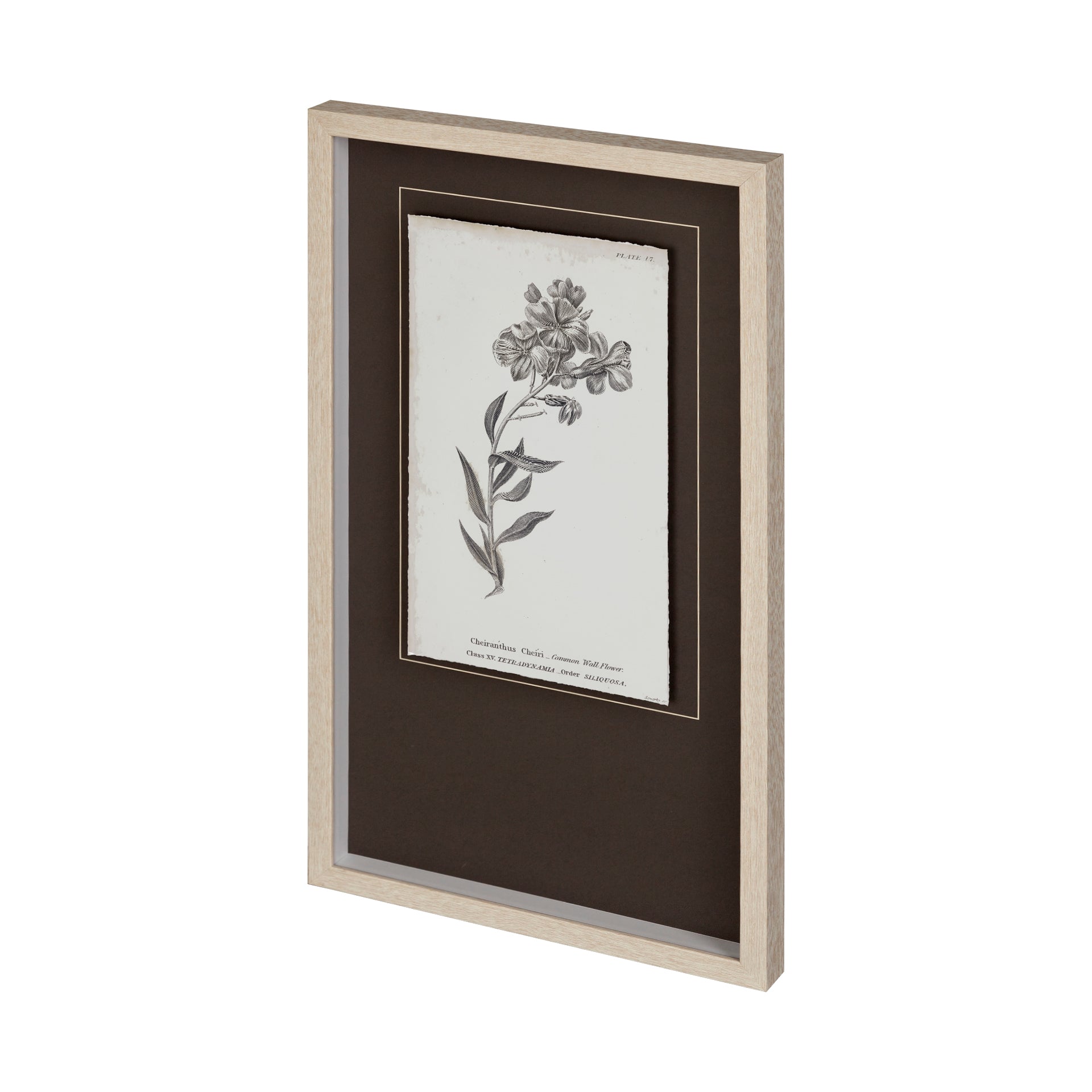 Conversations on Botany VI