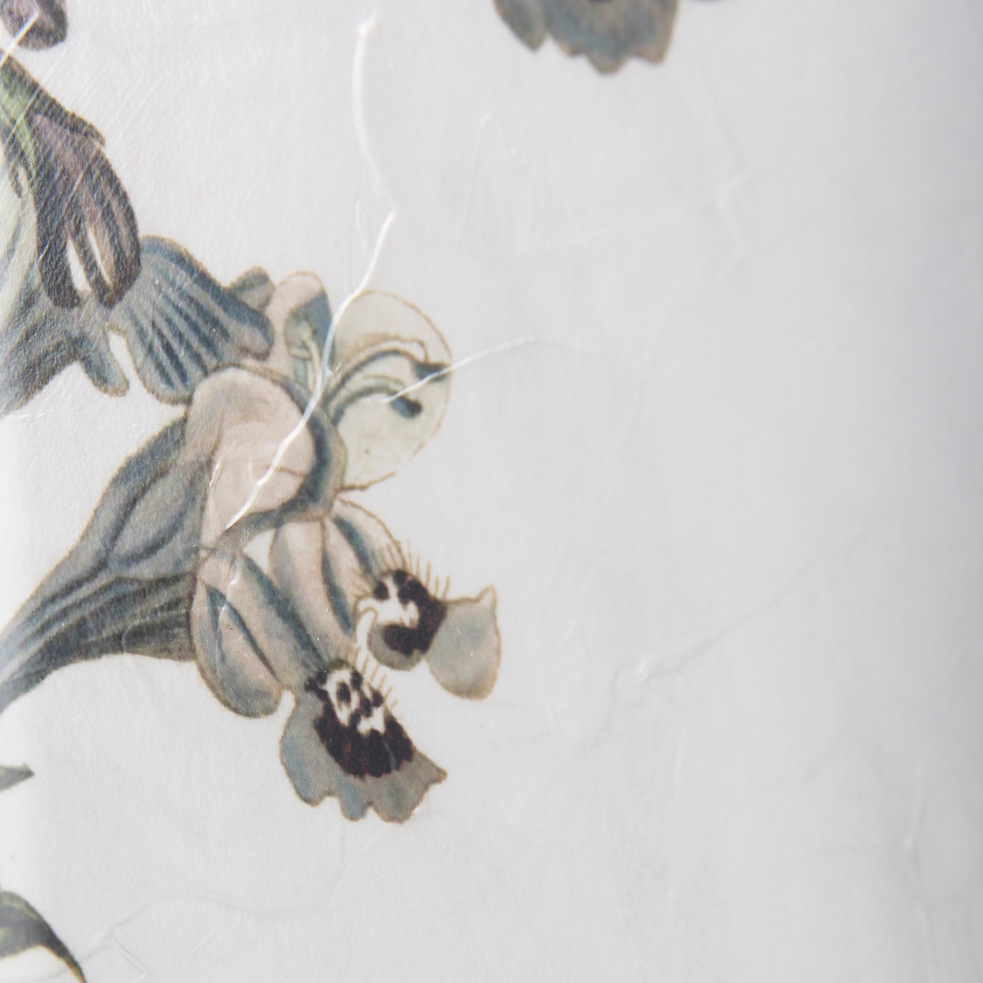 Soft Blue Botanoicals III