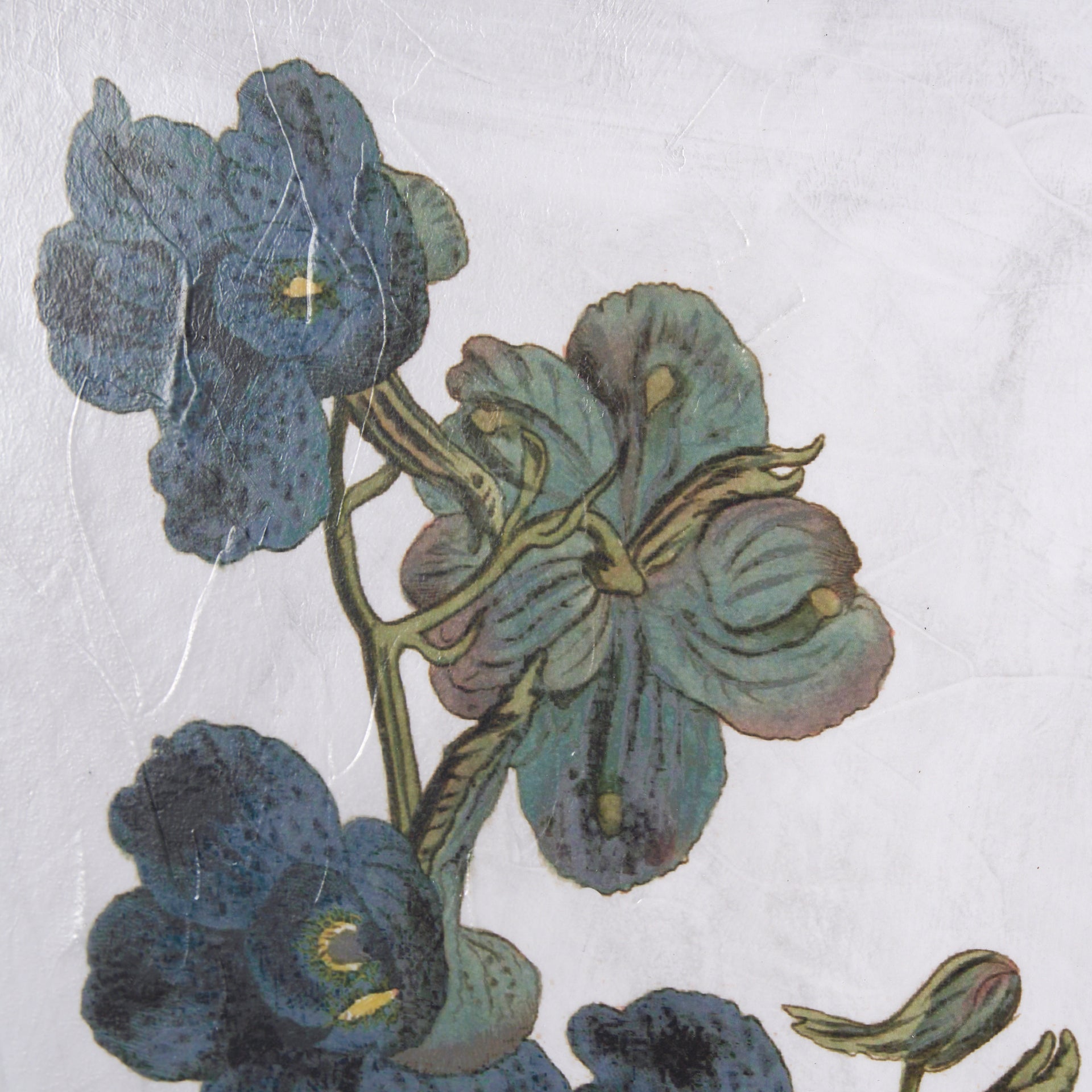 Soft Blue Botanoicals V