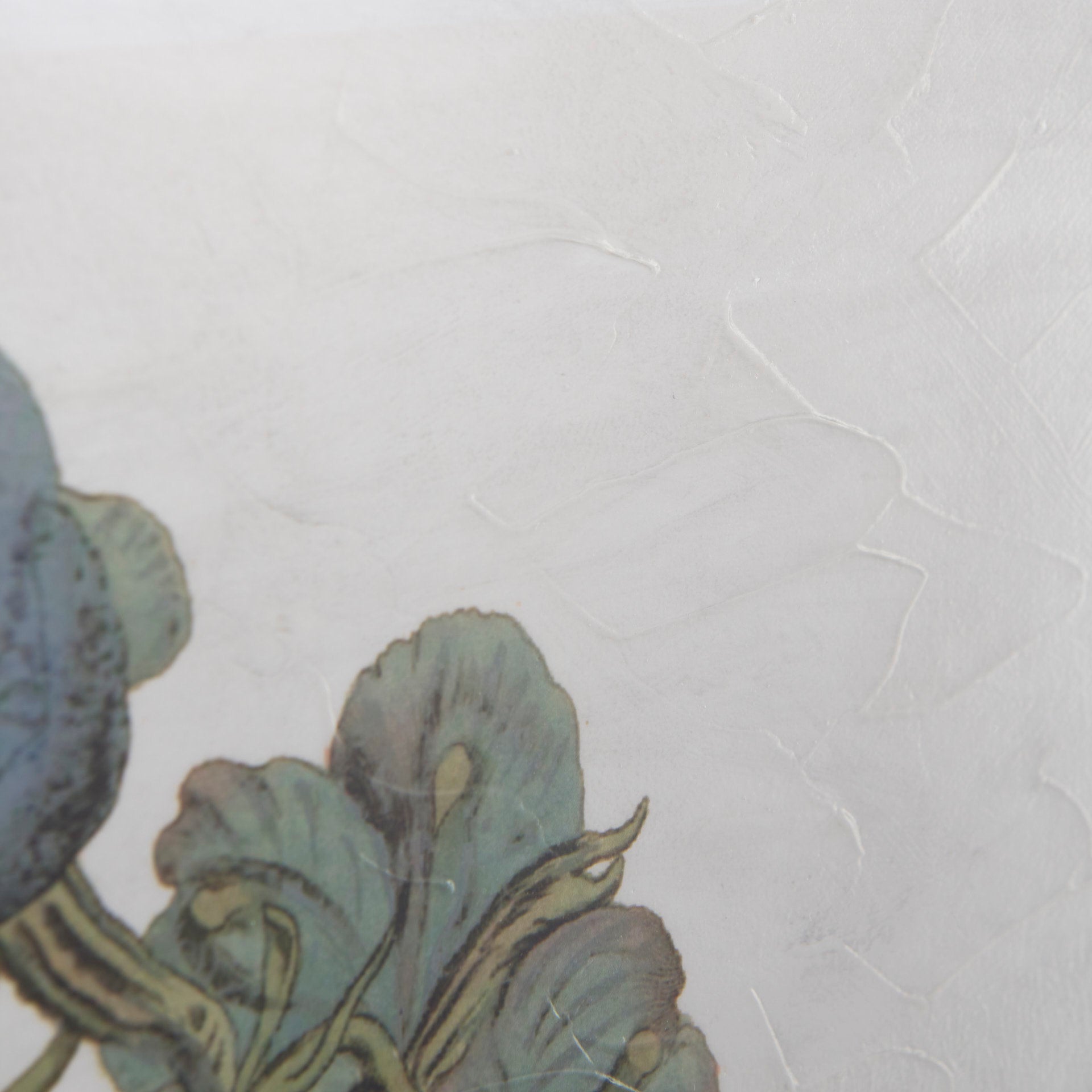 Soft Blue Botanoicals V
