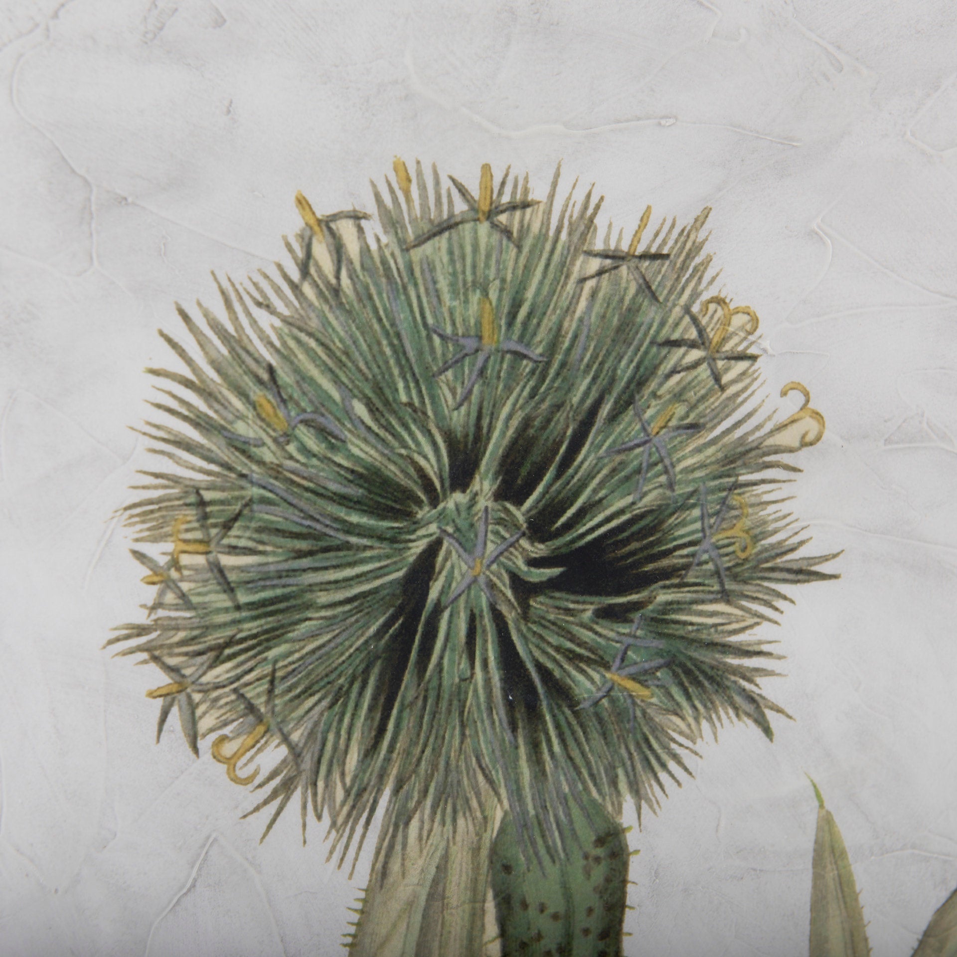 Soft Blue Botanoicals VI