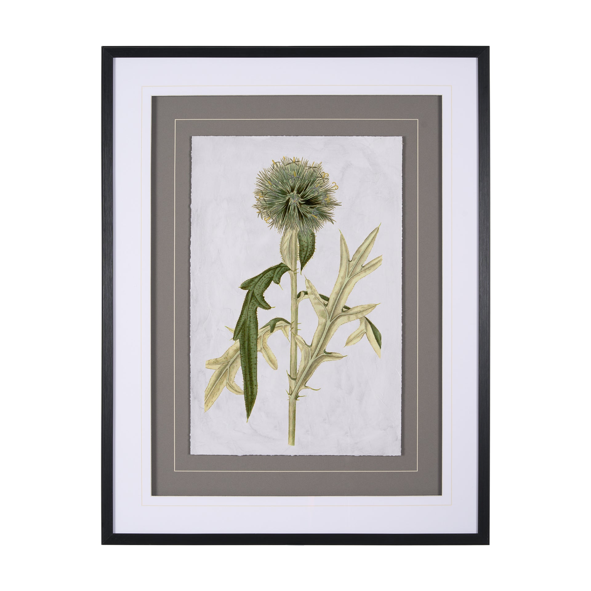 Soft Blue Botanoicals VI