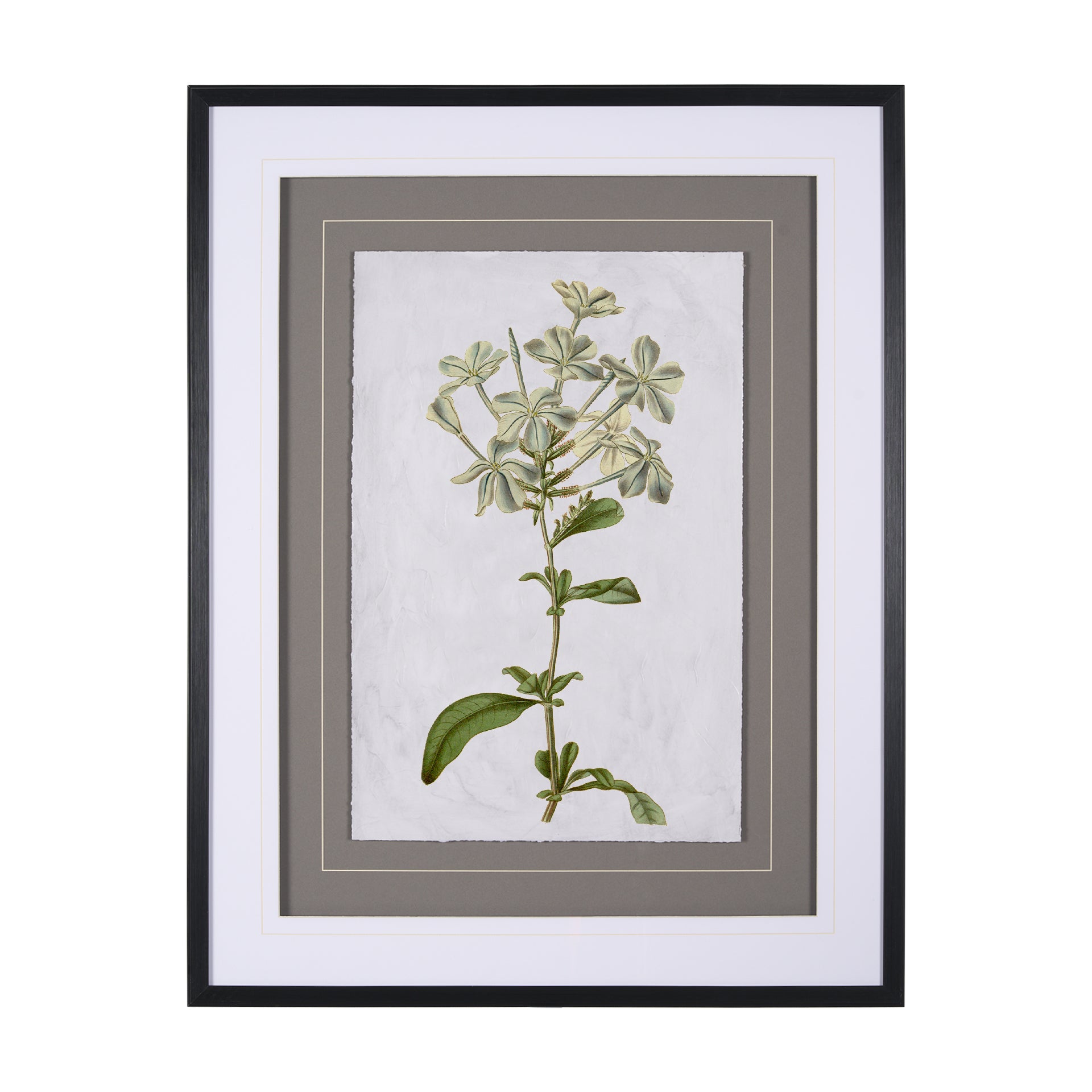 Soft Blue Botanoicals VII
