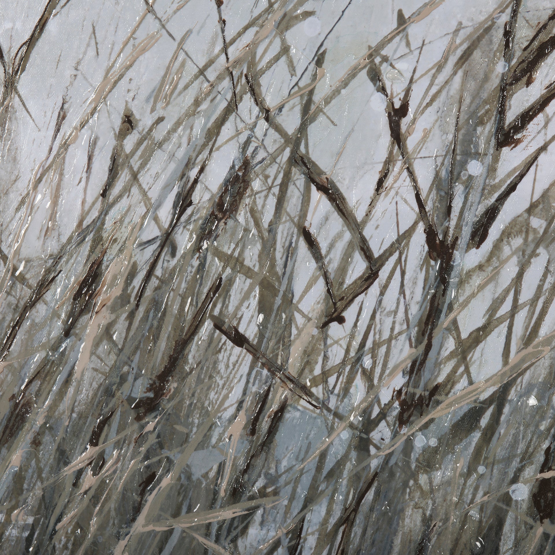 Chilly Breeze I