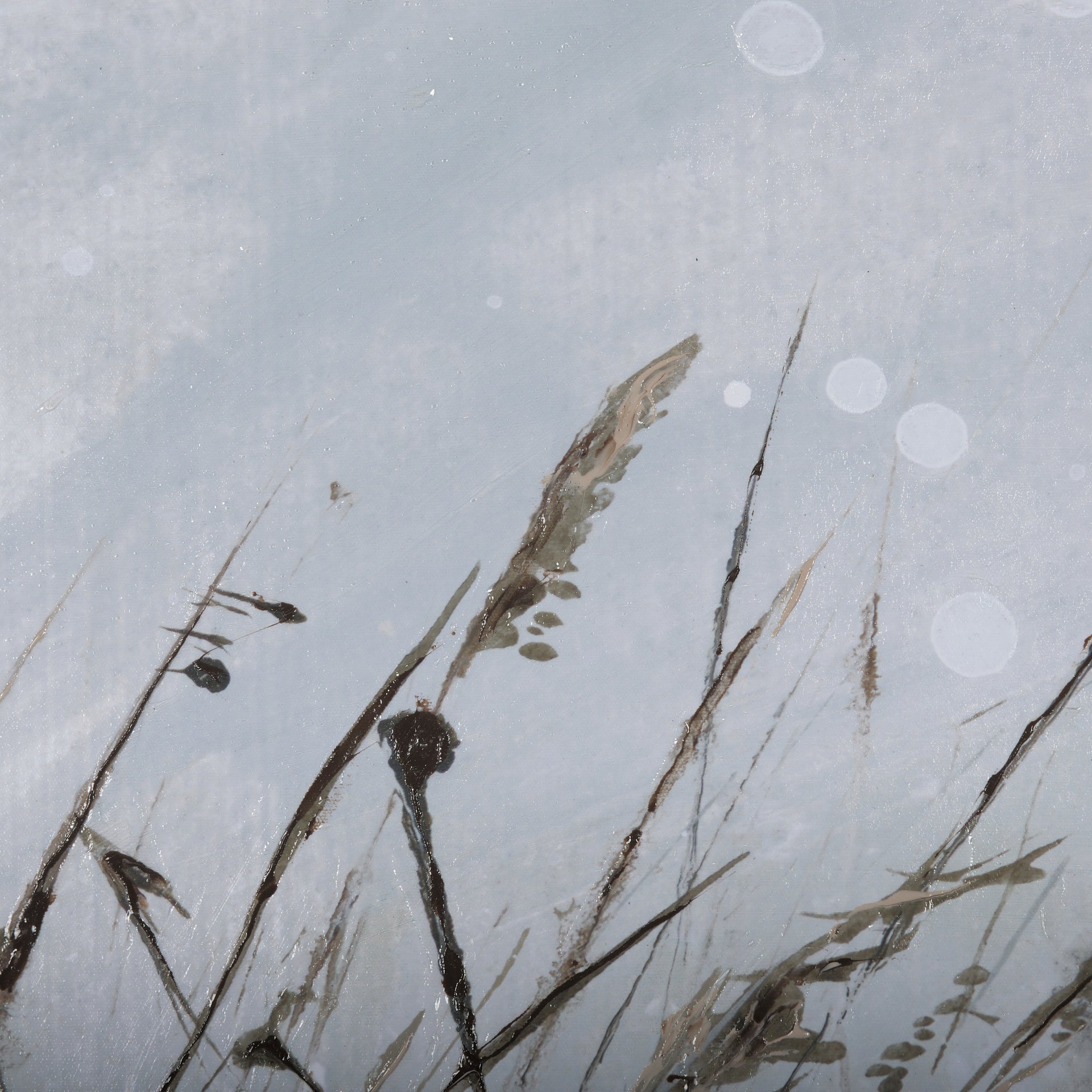 Chilly Breeze I