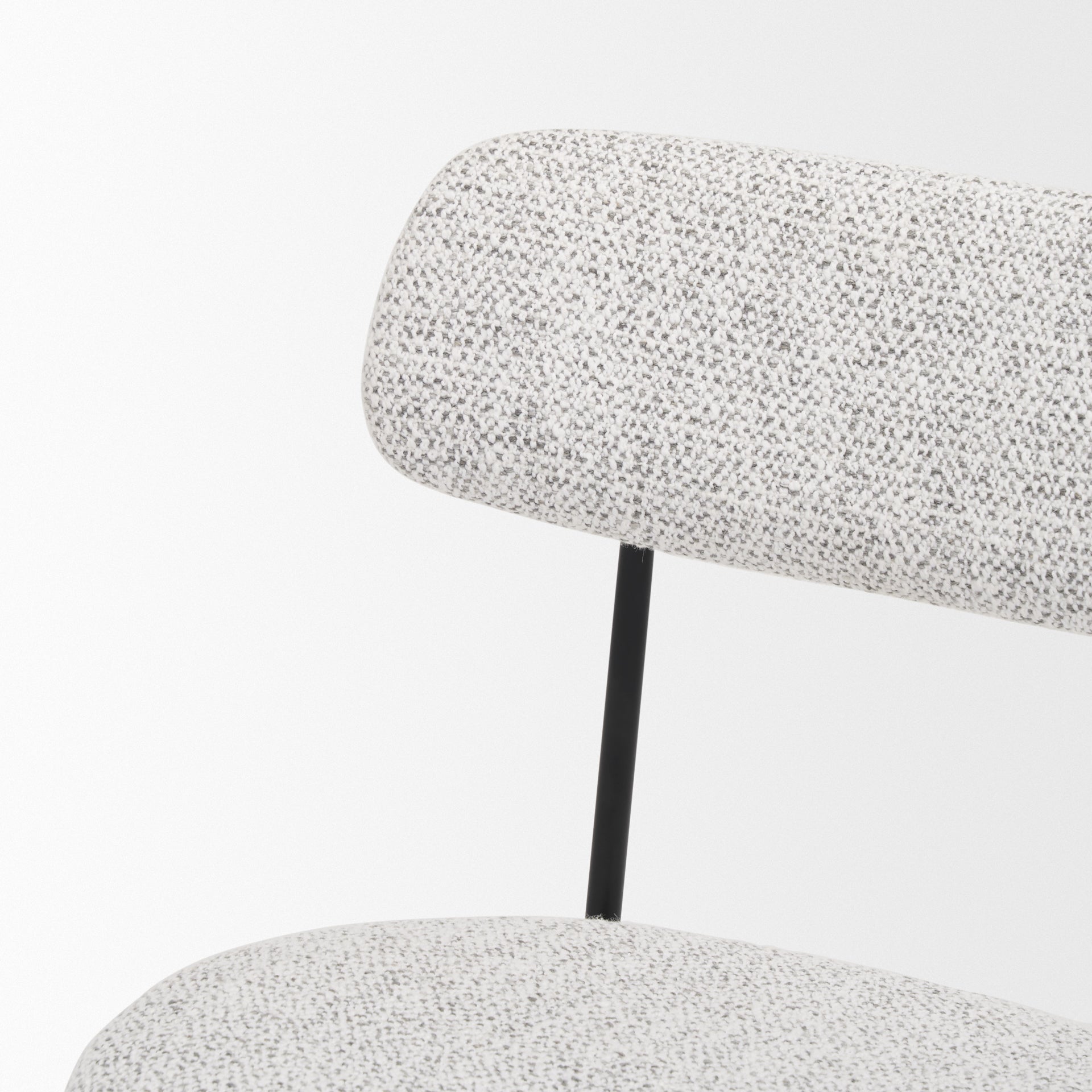 Casey Matte  Dining Chair, S/2