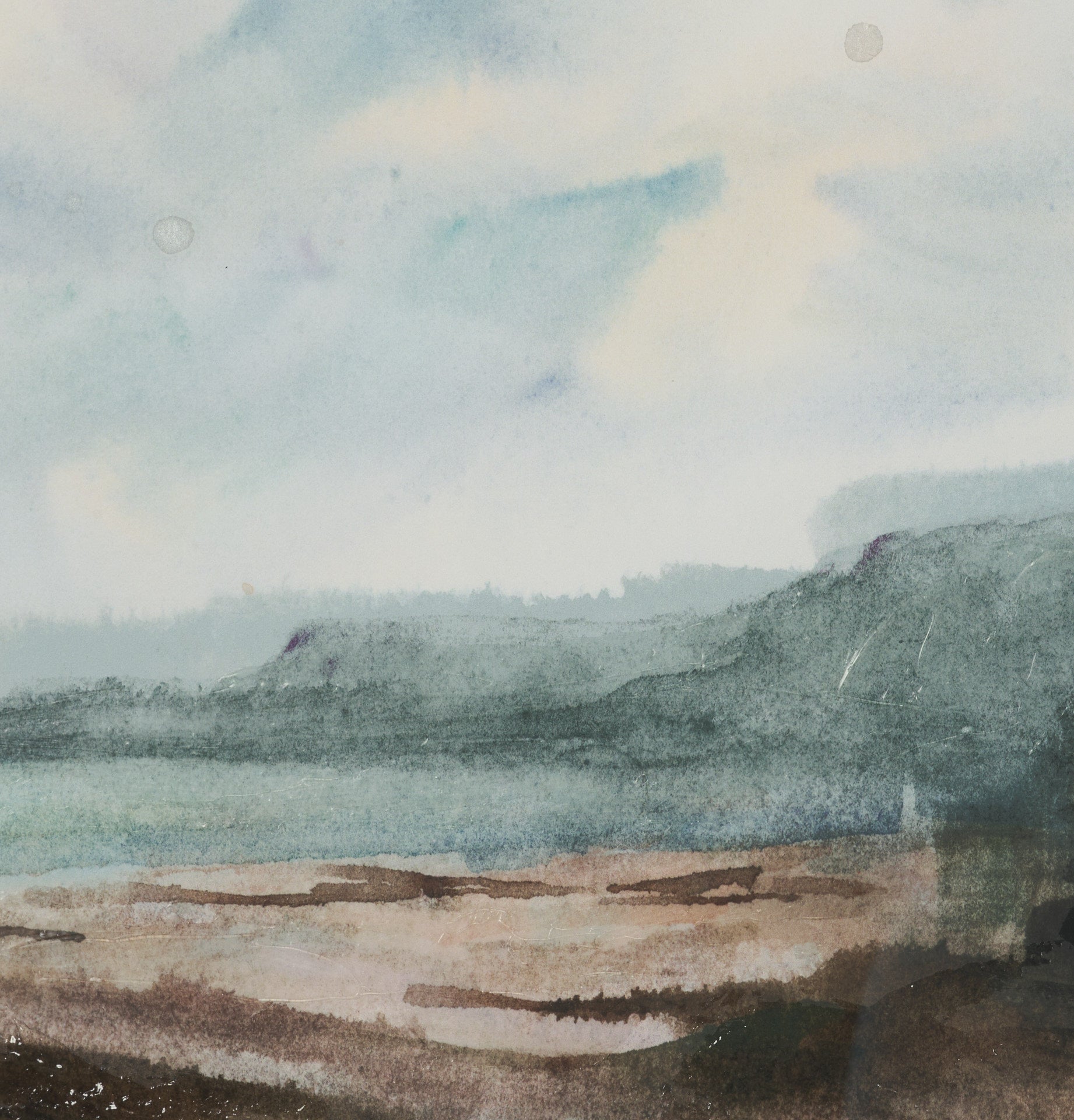 Shoreline Beauty II