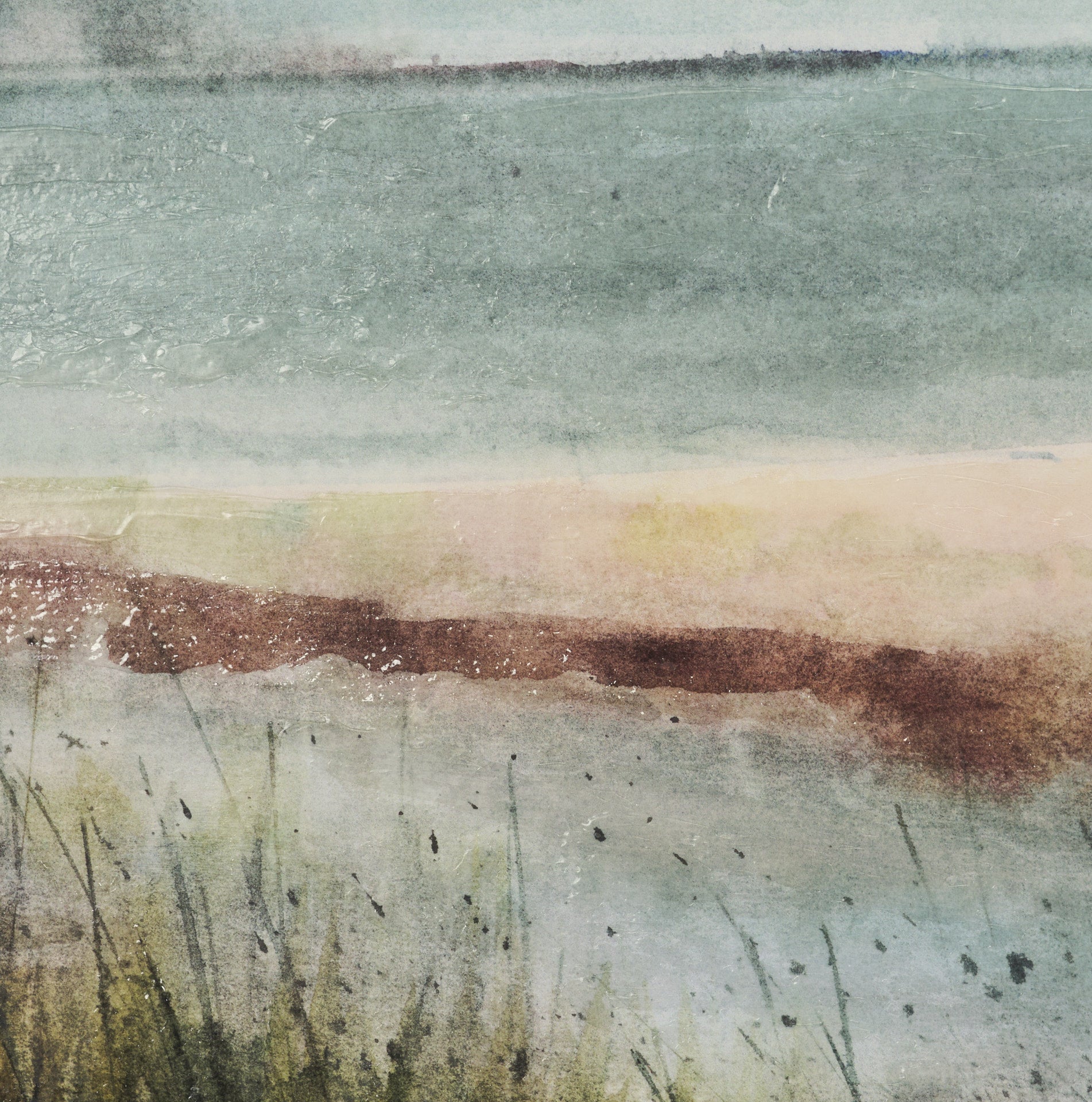 Shoreline Beauty III