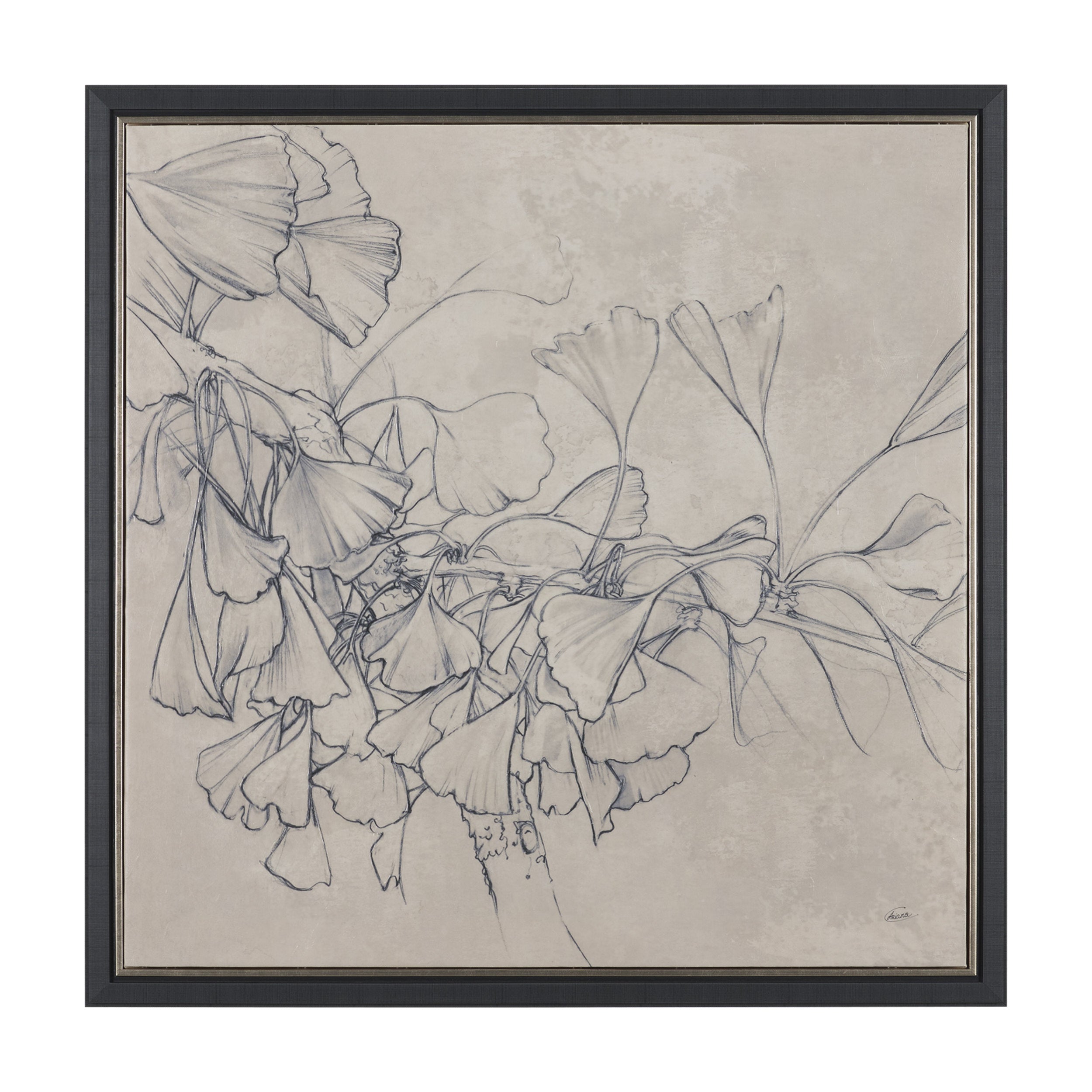 Ginkgo Shadows I