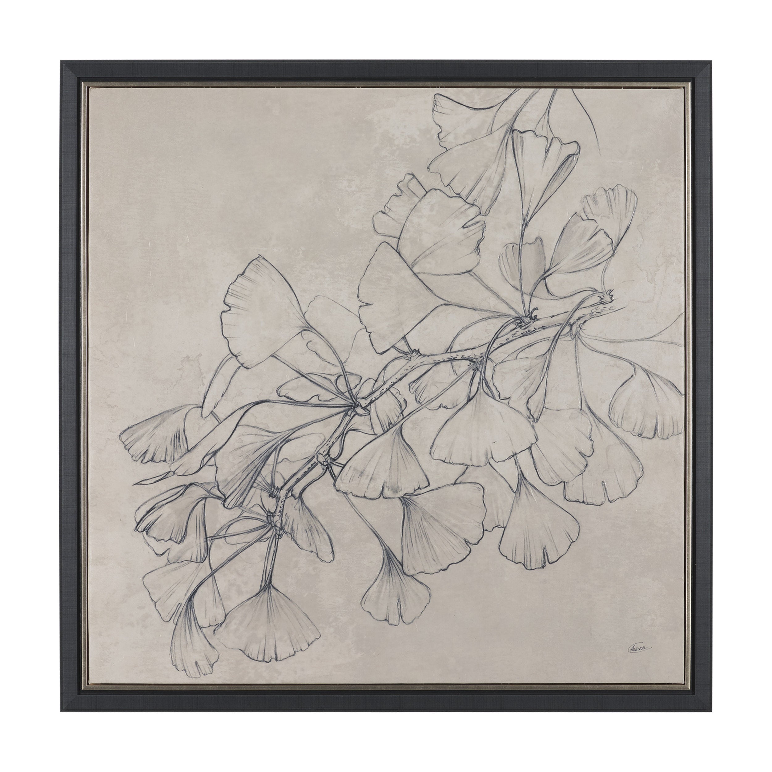 Ginkgo Shadows II