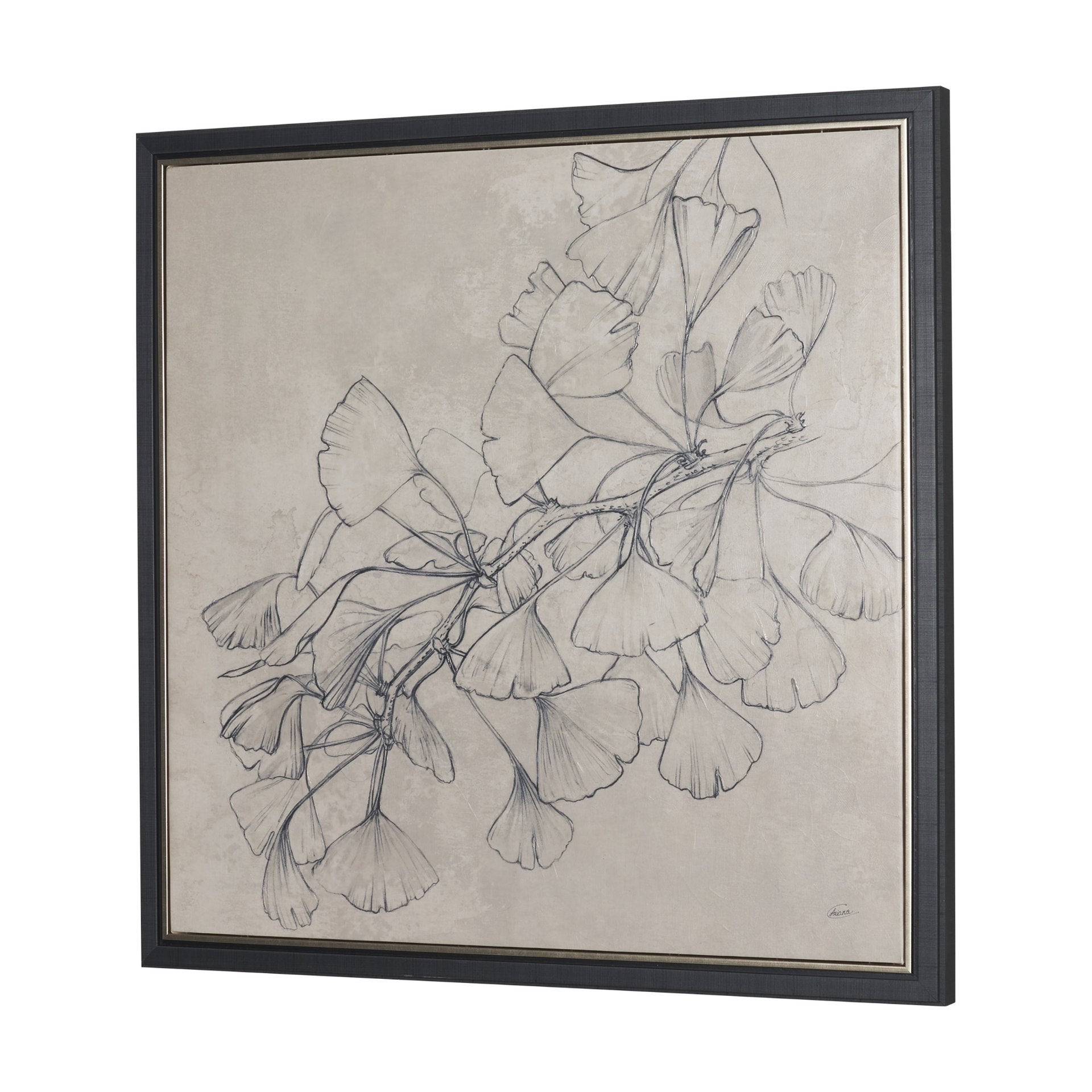 Ginkgo Shadows II